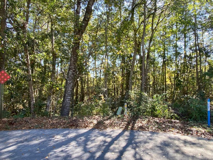 What a great opportunity to own land for your future home on hole 11 of the newly established Blackwater Golf Course. This lot is located in the beautiful Foxwood Estates neighborhood so don't miss out on the opportunity to purchase this and build your dream home!