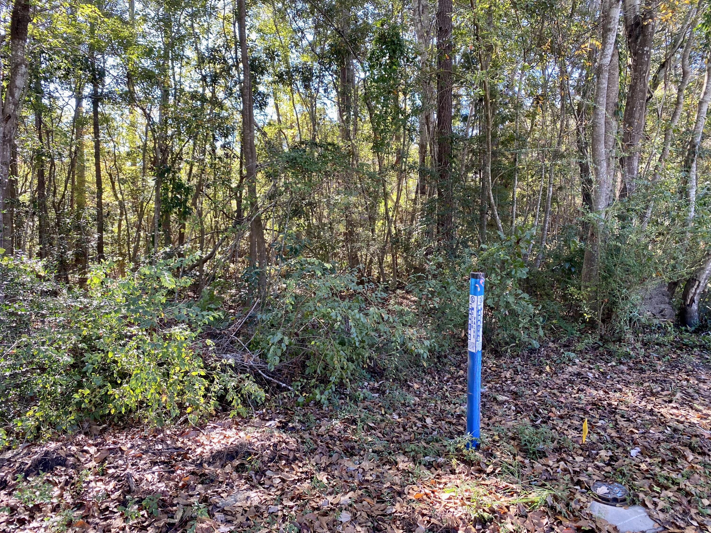 COUNTRY CLUB ESTATES 1 OF CRESTVIEW - Land