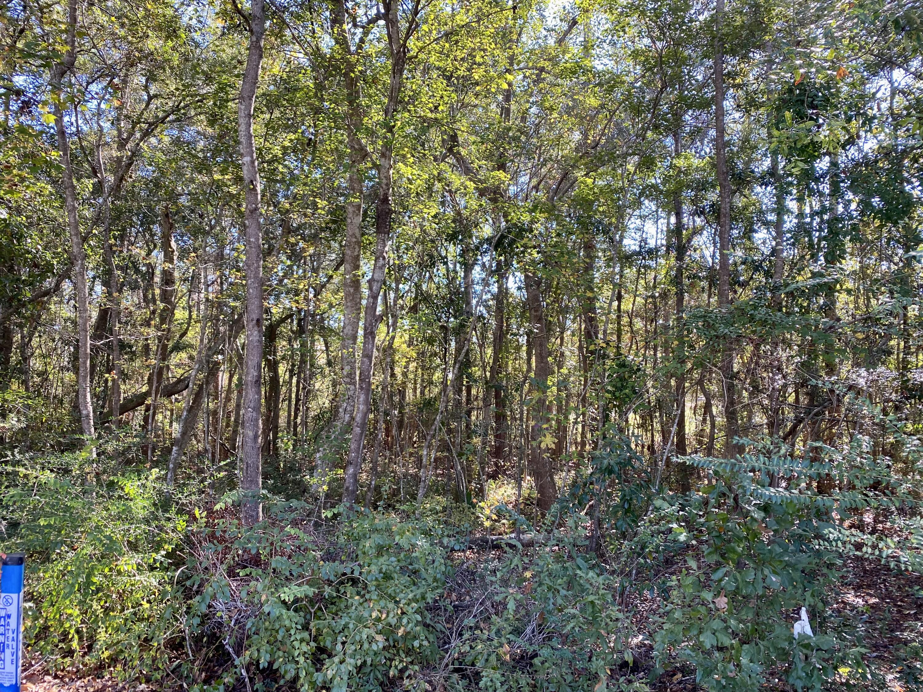 COUNTRY CLUB ESTATES 1 OF CRESTVIEW - Land