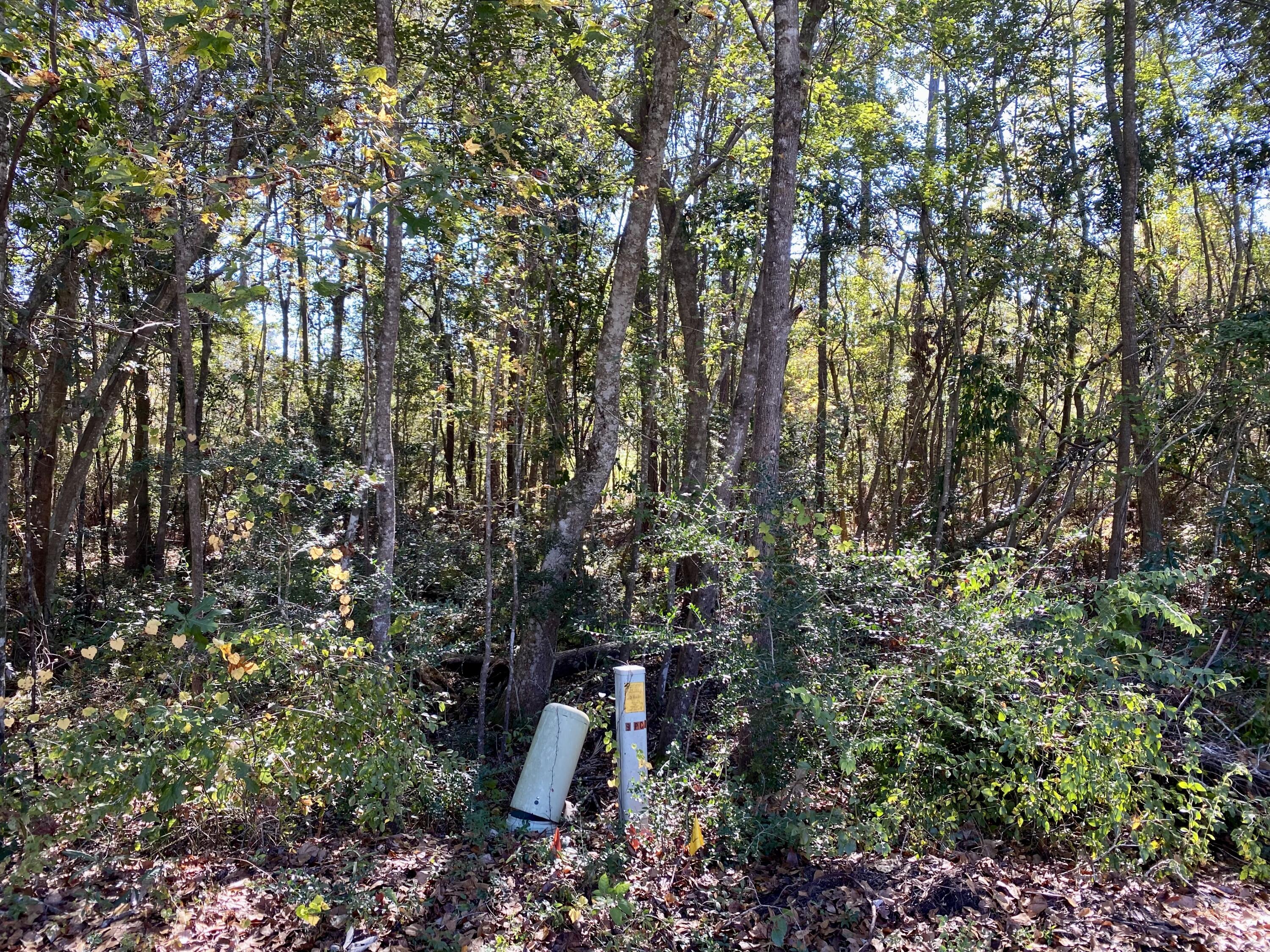 COUNTRY CLUB ESTATES 1 OF CRESTVIEW - Land