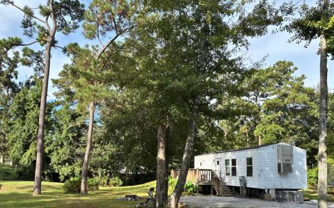 Photo of 80 Palmetto Avenue, Freeport, FL 32439 (MLS # 986581)
