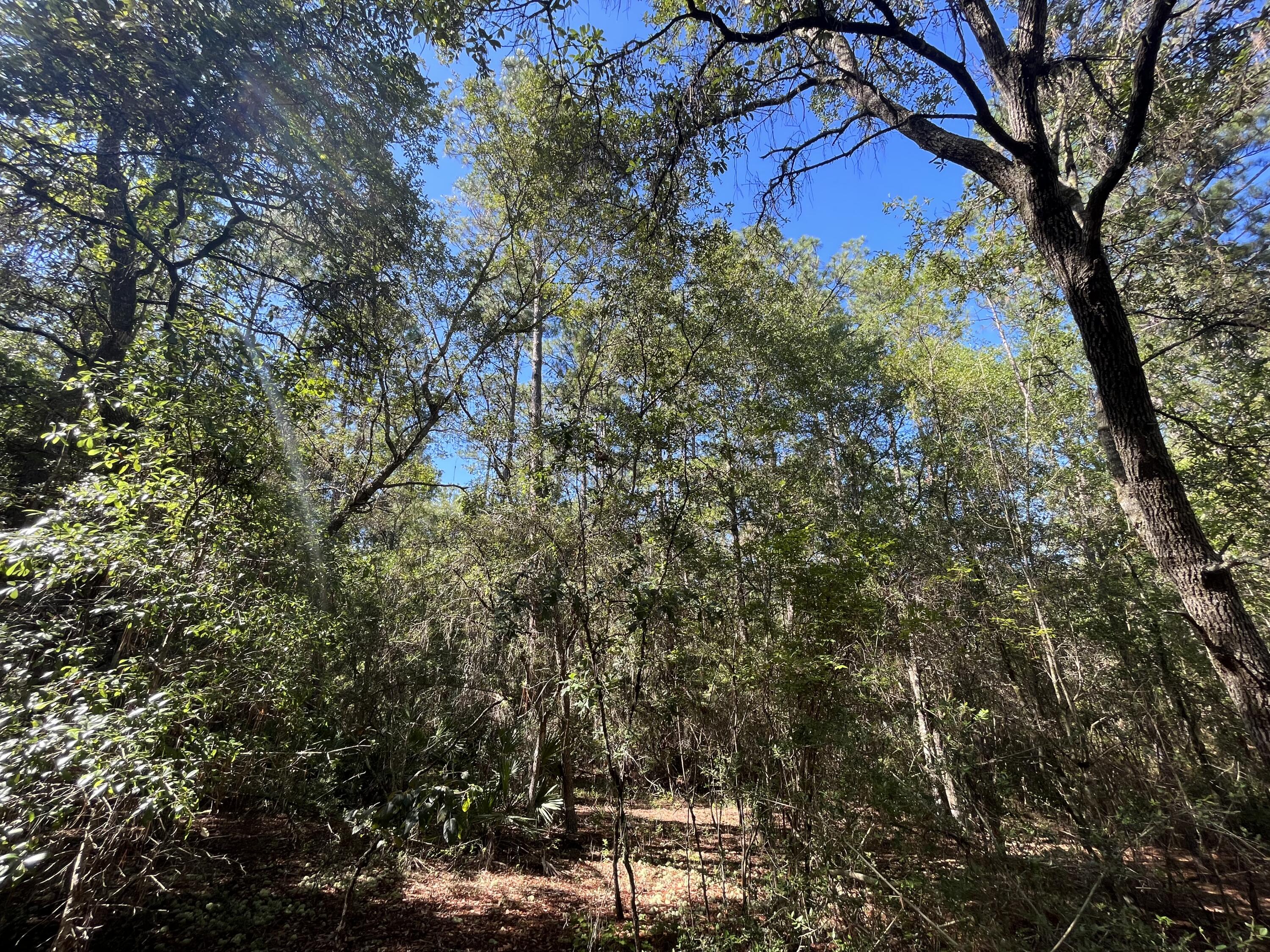 This spacious lot is the perfect place to build a home while also enjoying nature. The property is wooded with plenty of privacy and removed from city life, but just minutes from I-10 to get you where you're going.Don't miss out on this chance to own more than an acre without breaking the bank!