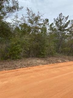 This lot is relatively level and has water & electricity close by. Almost an acre it could actually be 4 lots. This property has never been improved. Buyer to verify all dimensions and pertinent information required to improve this property.