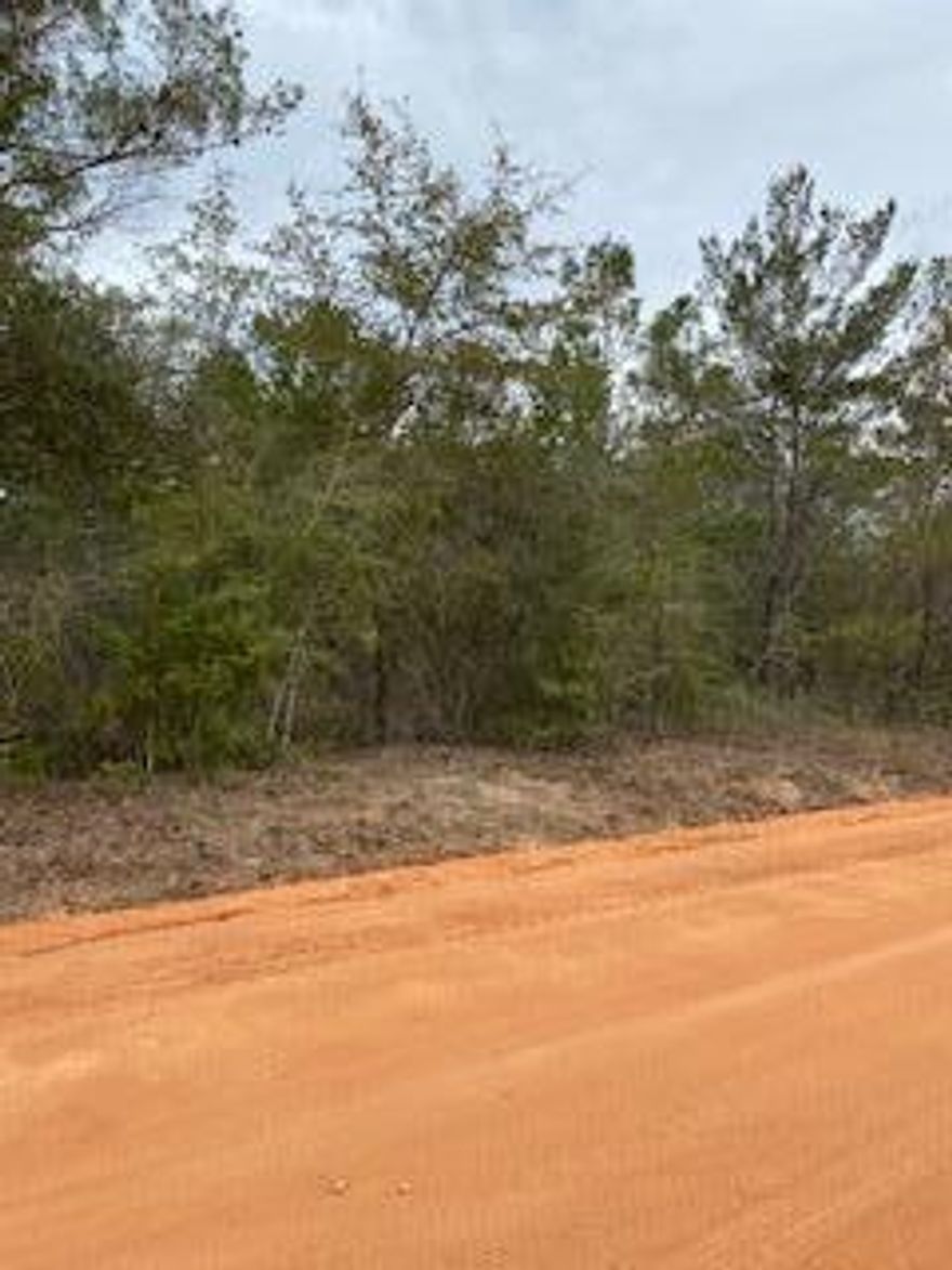 This lot is relatively level and has water & electricity close by.  Almost an acre it could actually be 4 lots.  This property has never been improved.  Buyer to verify all dimensions and pertinent information required to improve this property.