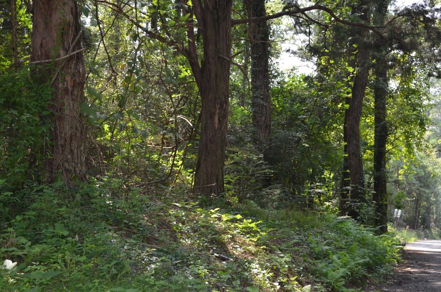 Large parcel, 11 acres of land just a few miles from Interstate Highway 10 in Defuniak Springs. Land if family property that was at one time farmed for timber but existing oaks and springs are throughout. Beautiful and private. Show as desired, call agent for more information. Watch out for wildlife on the property and neighbors who are protective. Adjacent 12 acres for sale also.