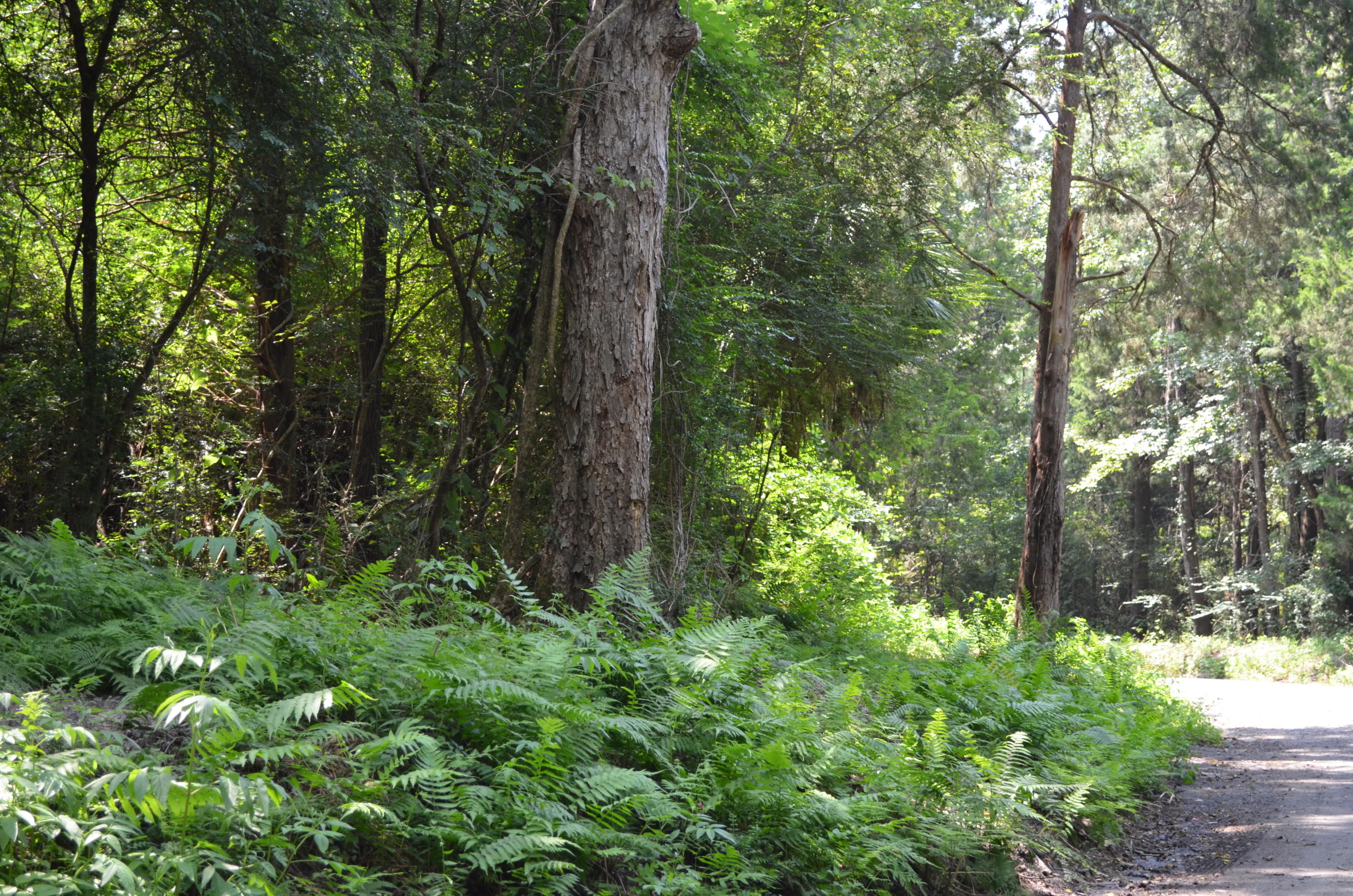 PLEASANT ACRES UNREC - Land