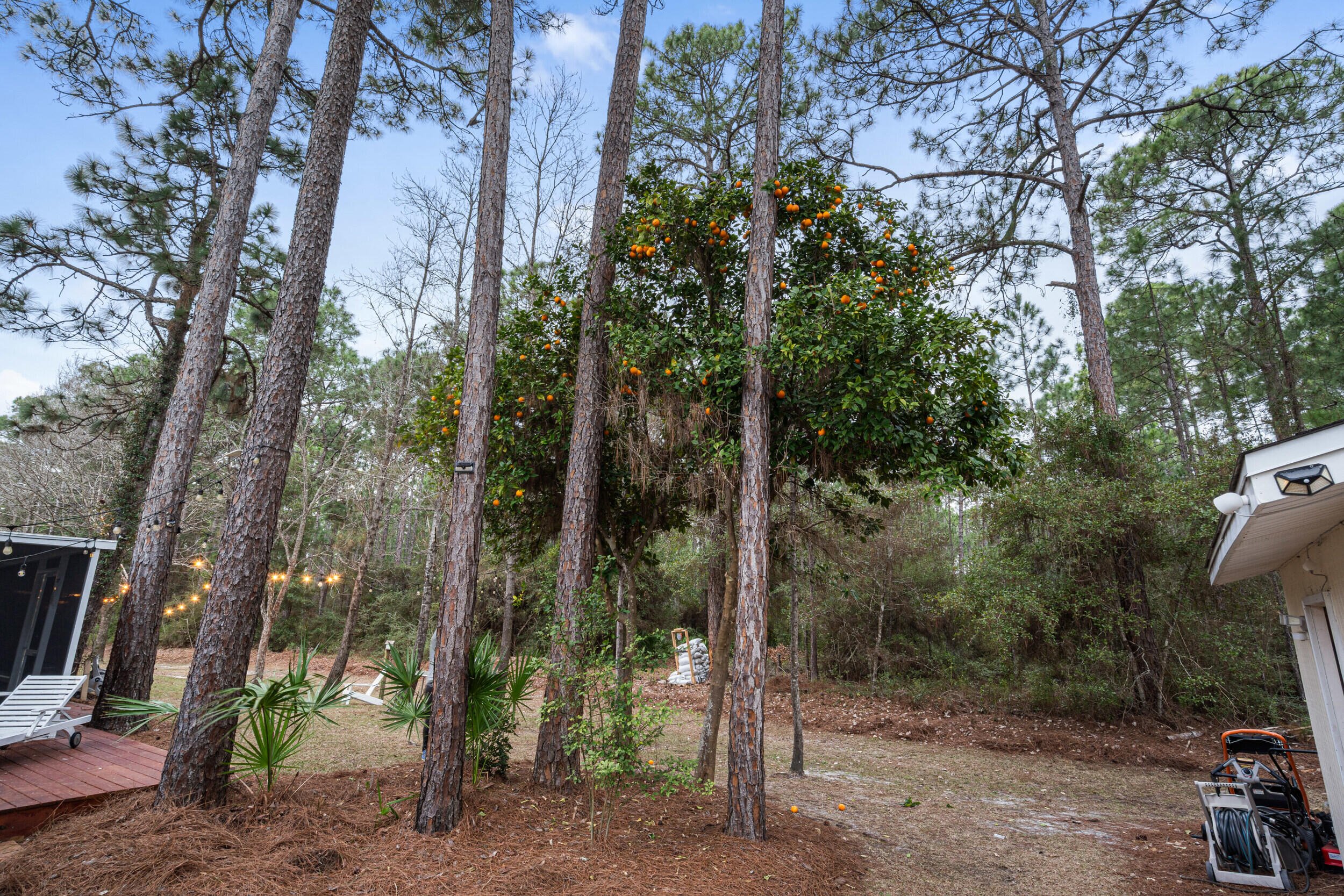 HAMON HAVEN - Residential