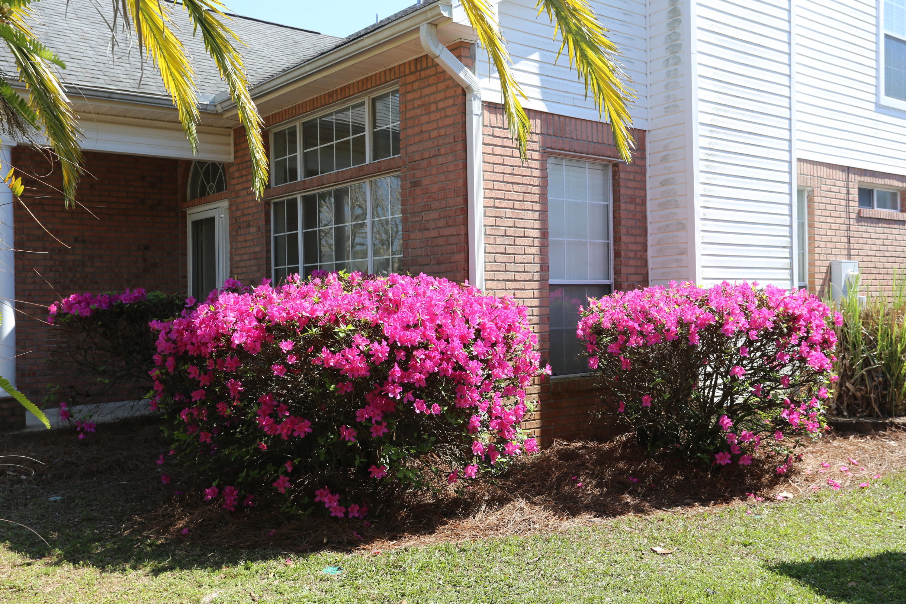 HARBOR BREEZE - Residential Lease