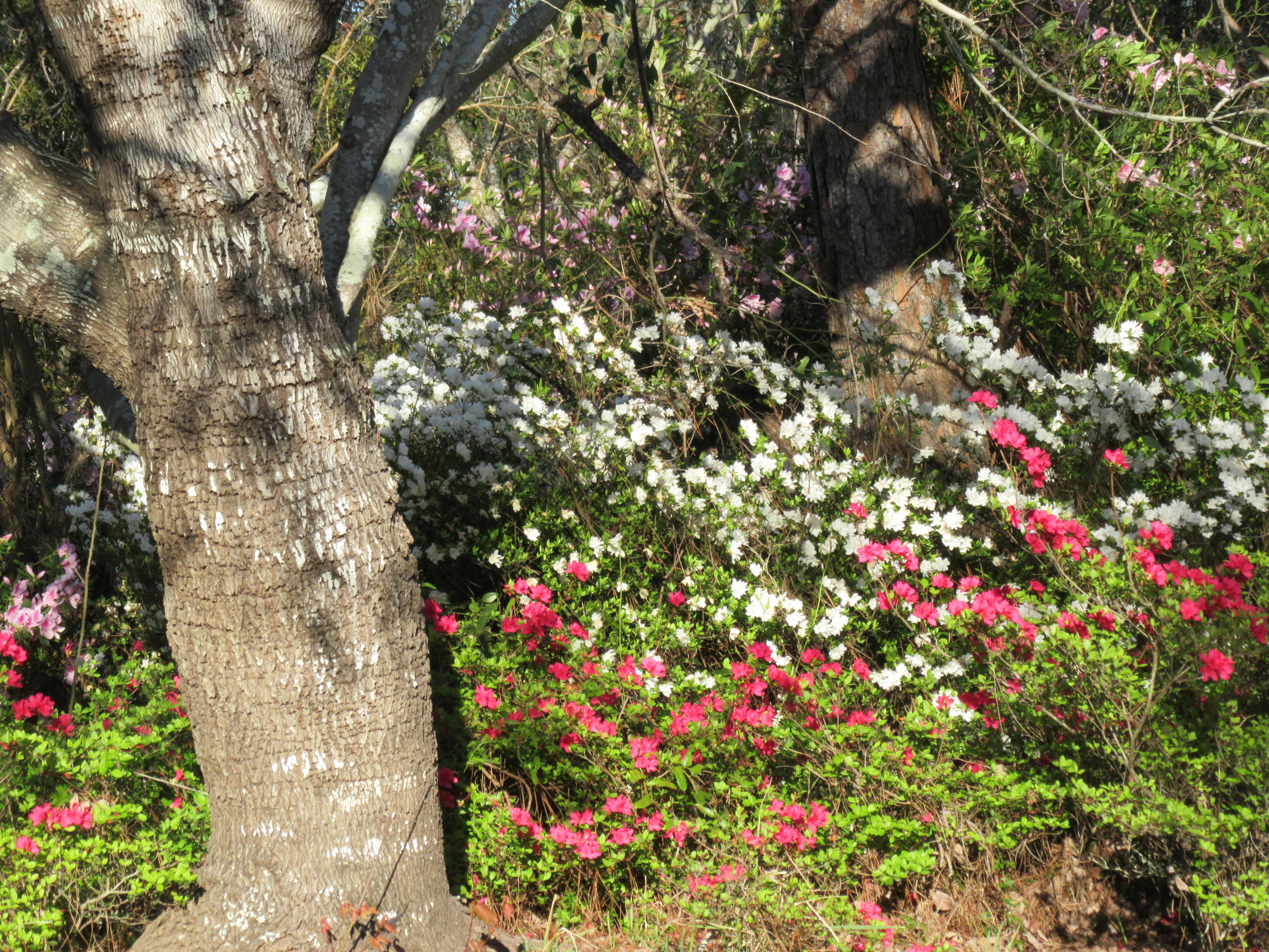 SHORTLINE LAKE ESTATES - Residential