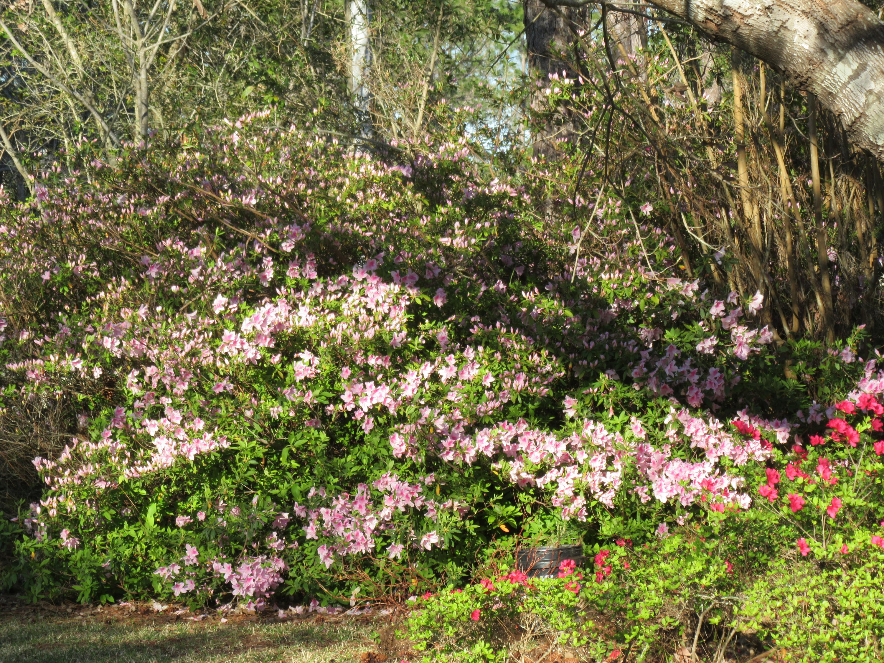 SHORTLINE LAKE ESTATES - Residential