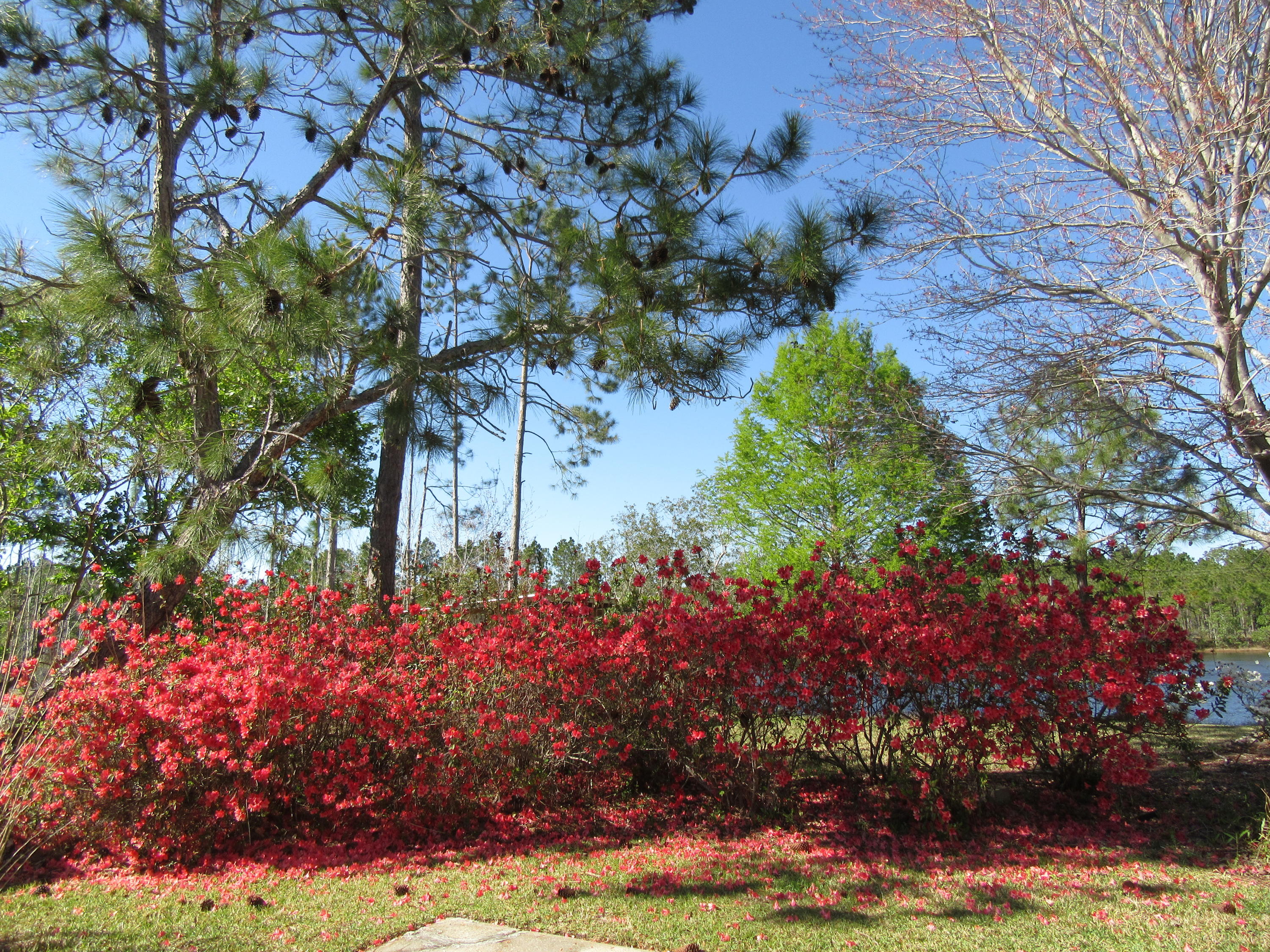 SHORTLINE LAKE ESTATES - Residential