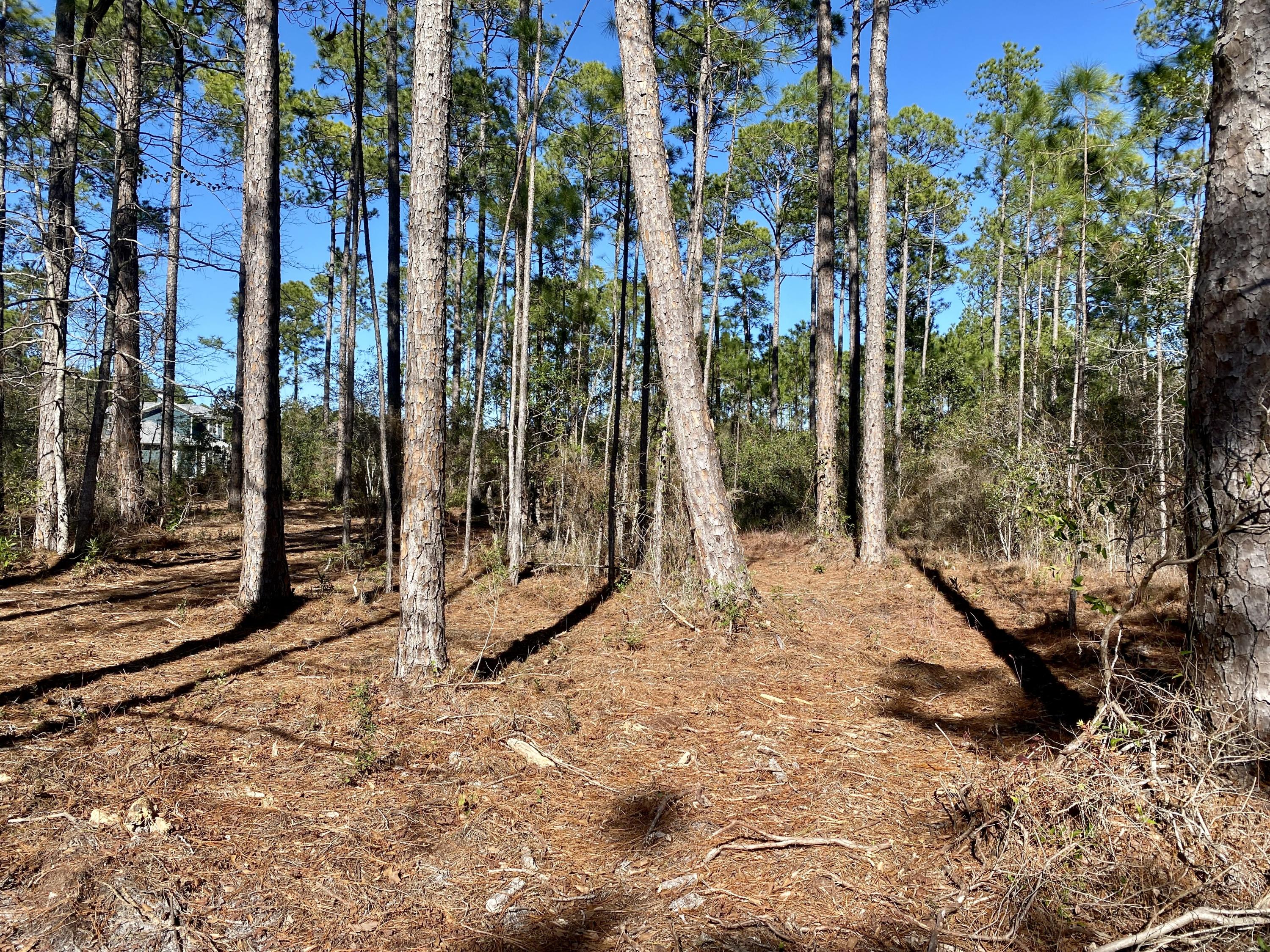 LAGRANGE SHORES - Land