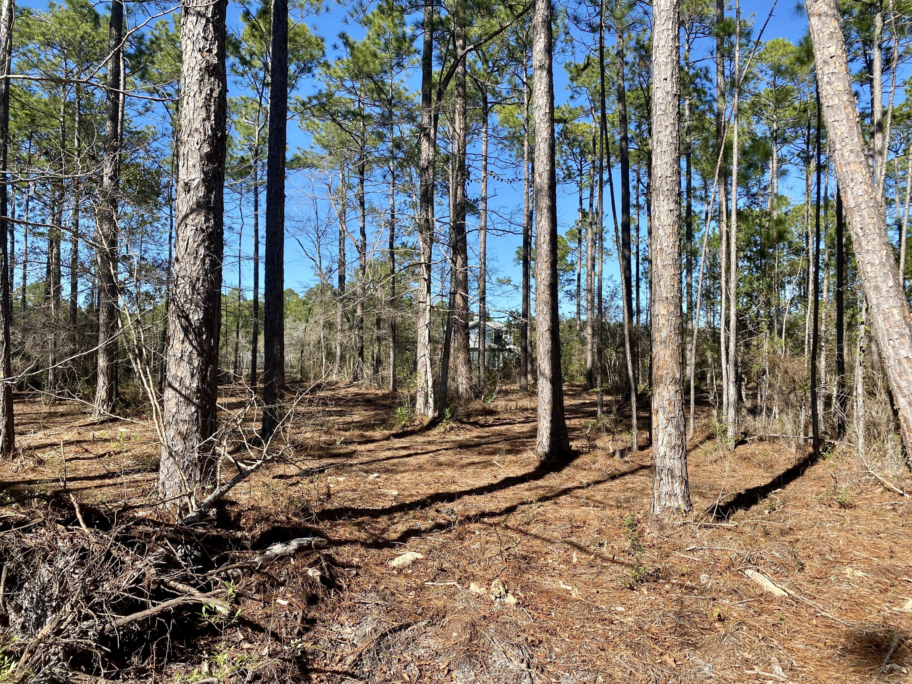 LAGRANGE SHORES - Land