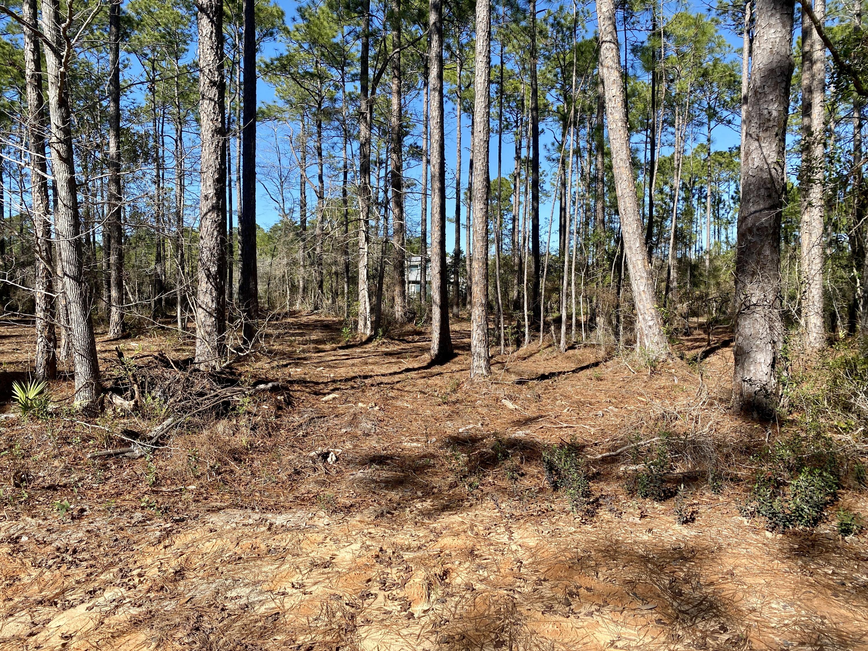 LAGRANGE SHORES - Land