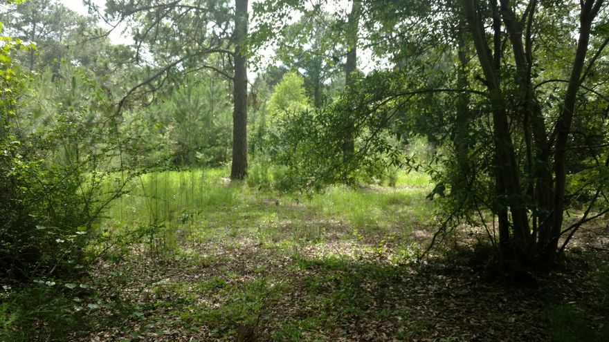 Welcome to the site of your future home! This lot is level with mature trees and plenty of room to build the home of your dreams. Located off a paved road, this lot once housed 2 mobile homes. The septic system that serviced the mobile home once located to the rear of the lot was pumped by current owner shortly after being purchased. Power poles are also present. Buyer to verify all information deemed important.