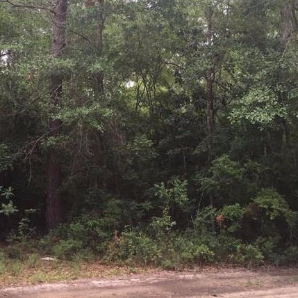 Double wooded lot of almost one-half acre in lovely treed setting. Build your new home in this tucked-away neighborhood close to canal, between Panama City and Freeport, near Steelfield fish camp! Lot size from Walton County Property Appraiser's website. Buyer to rely solely on own survey for lot size.