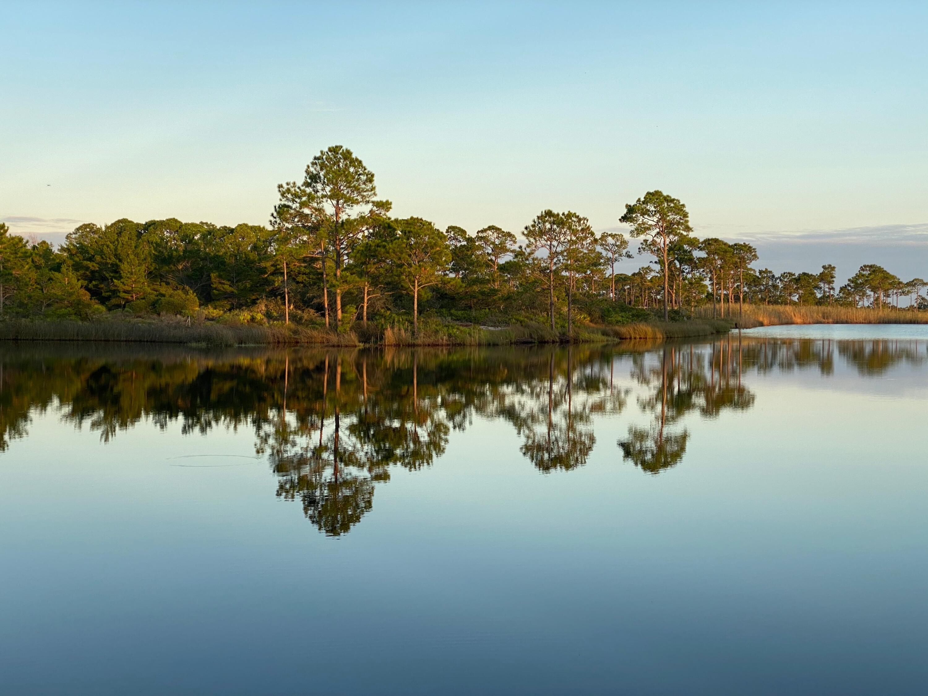 LAKE PLACE AT GRAYTON BEACH T/H - Residential