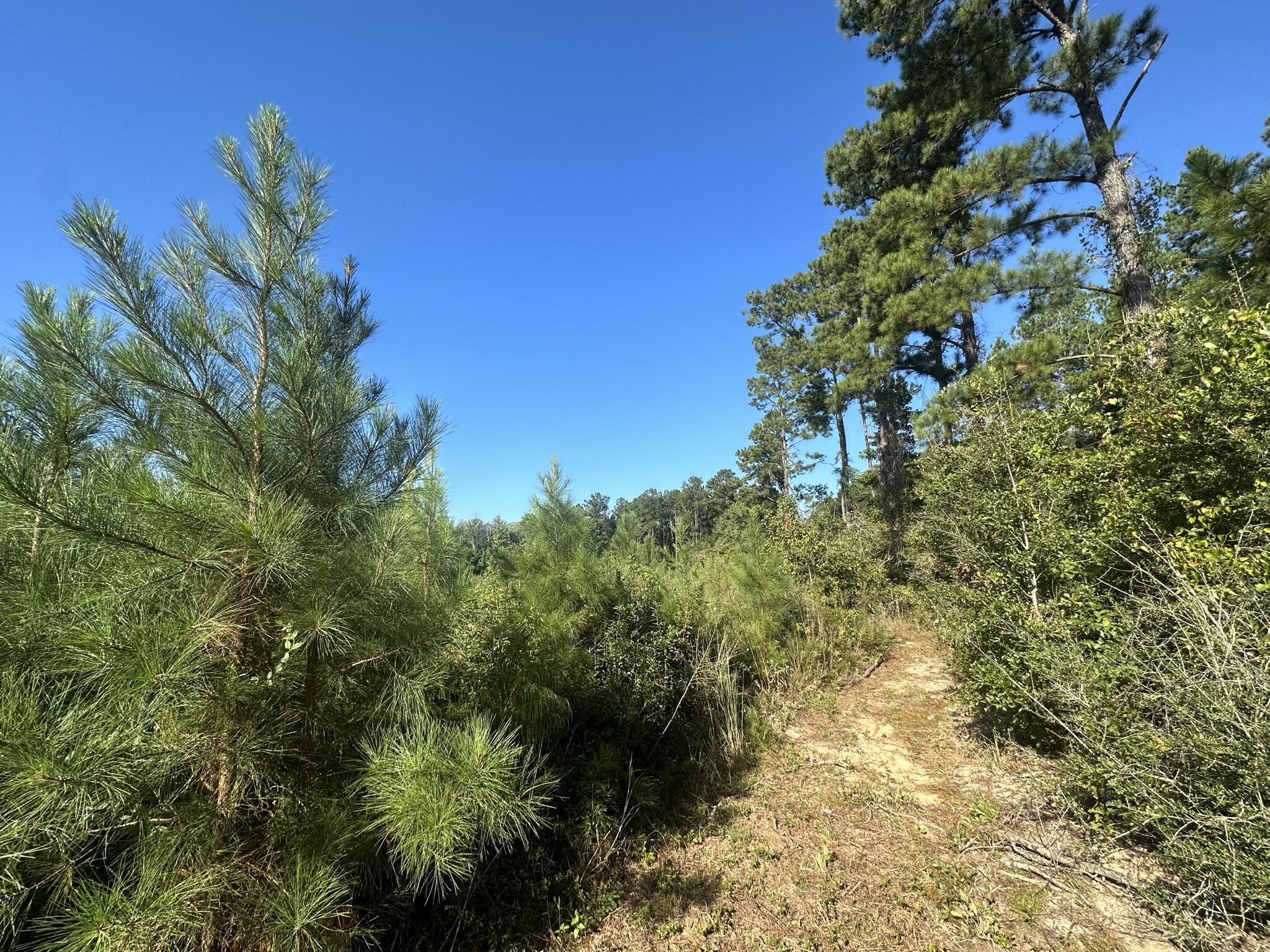 METES & BOUNDS - Land