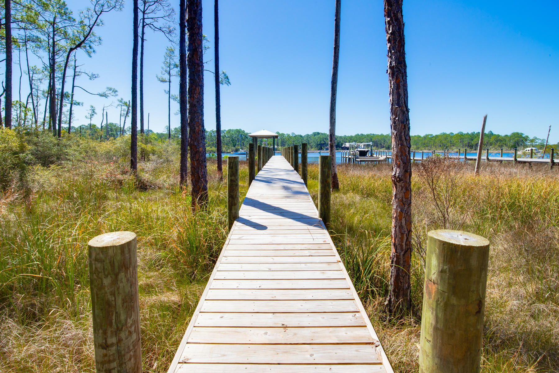 CESSNA LANDING - Land