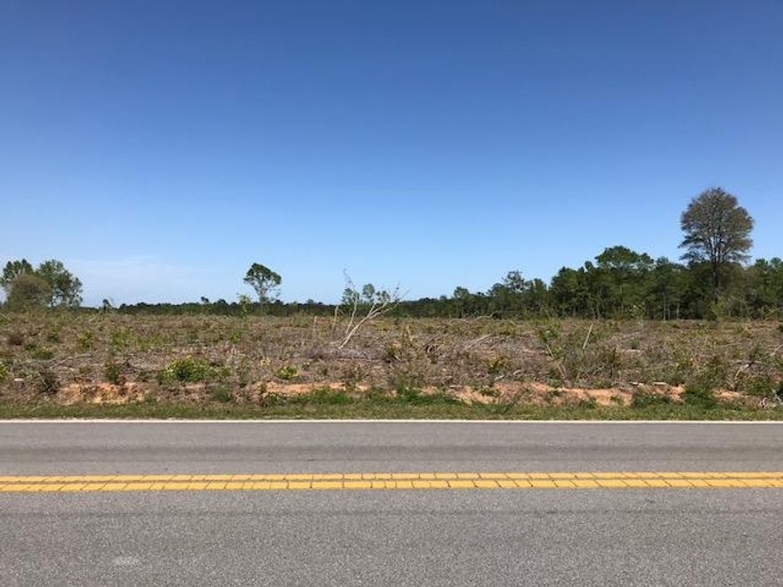 14 acres High & Dry! Cleared & ready for your new home on paved road. Room for horses and a garden. Survey provided with Sale. Vernon Elementary, Vernon Middle, Vernon High, schools.