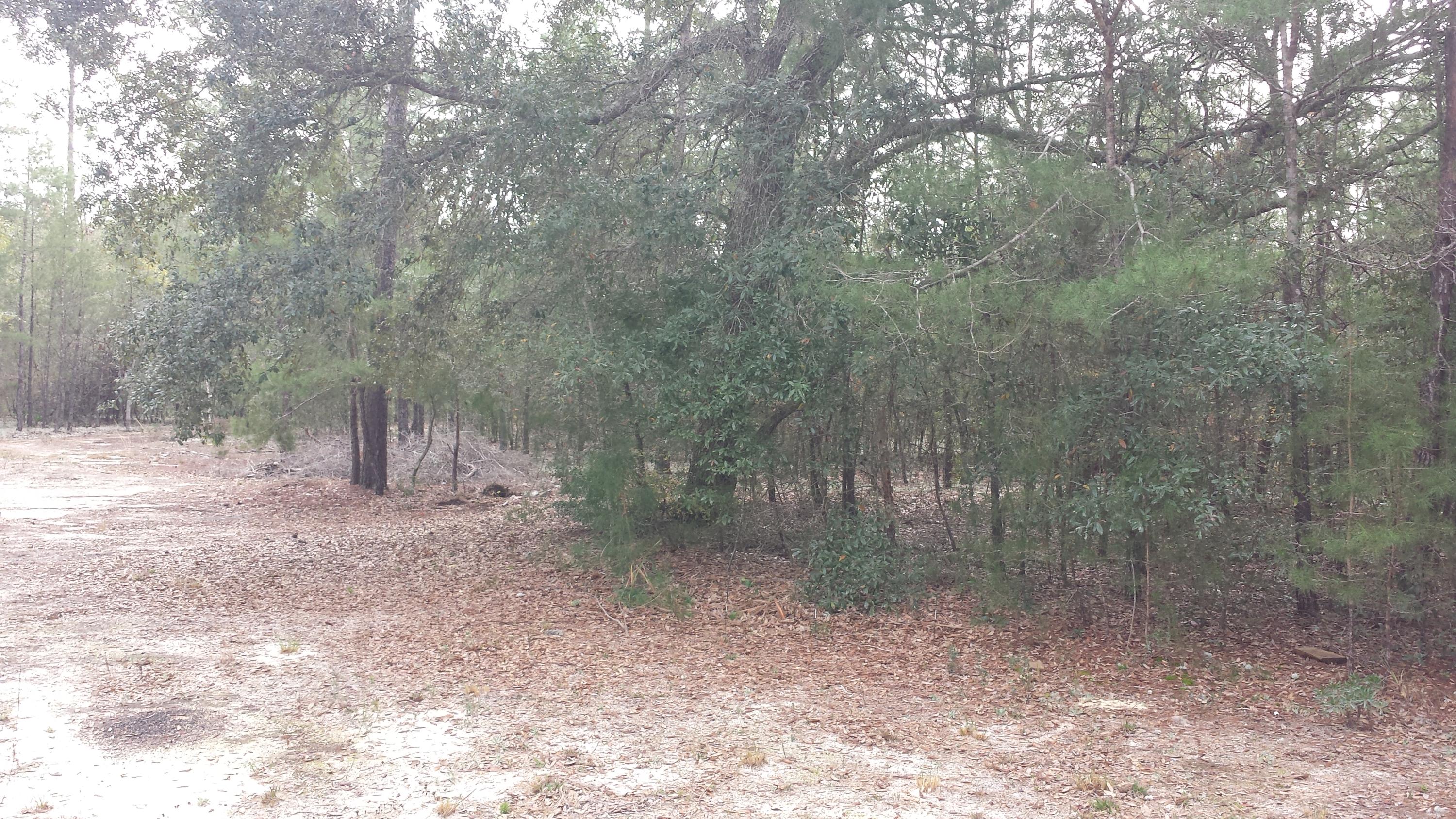 Magnolia Landing - Residential