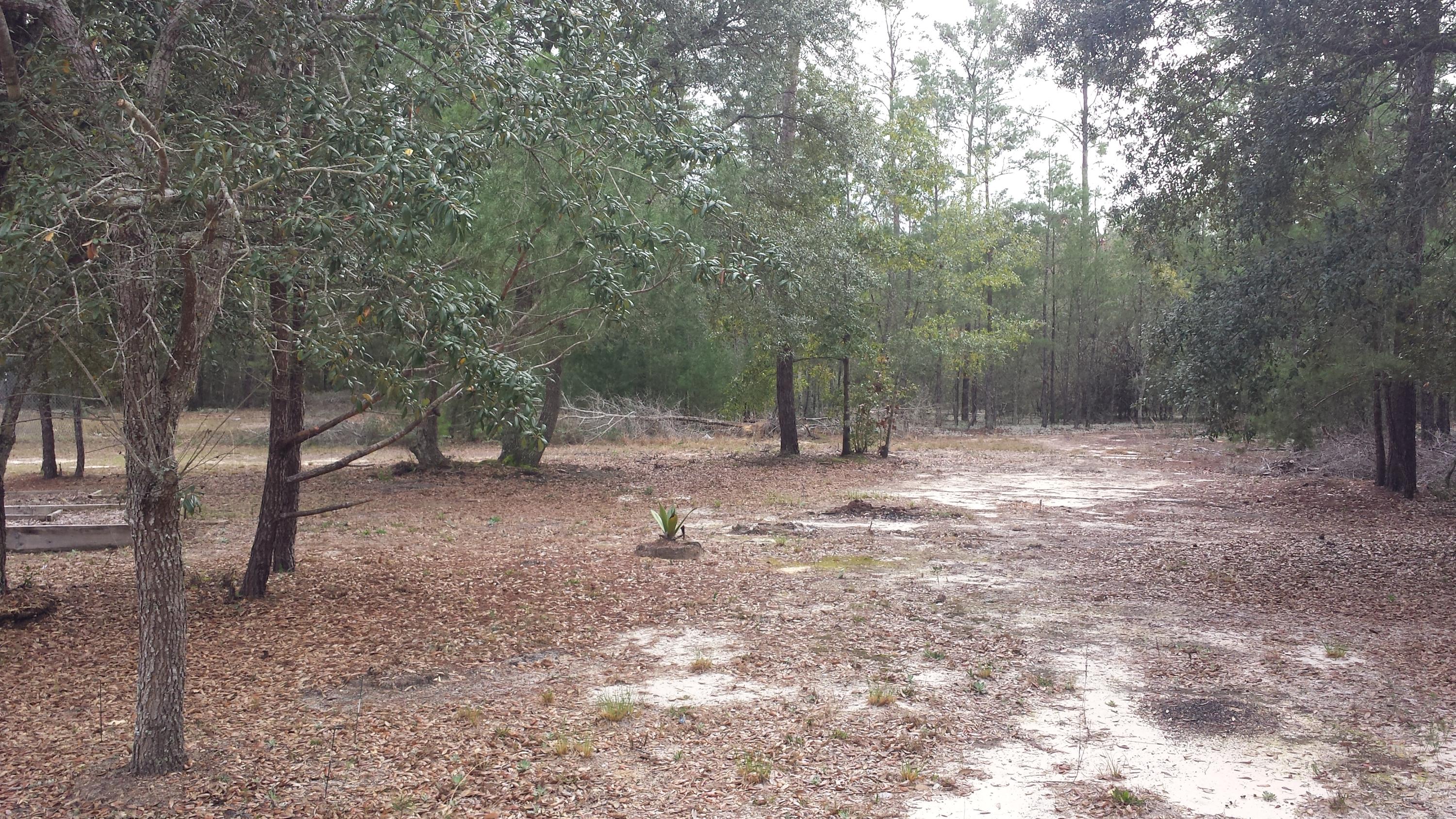 Magnolia Landing - Residential