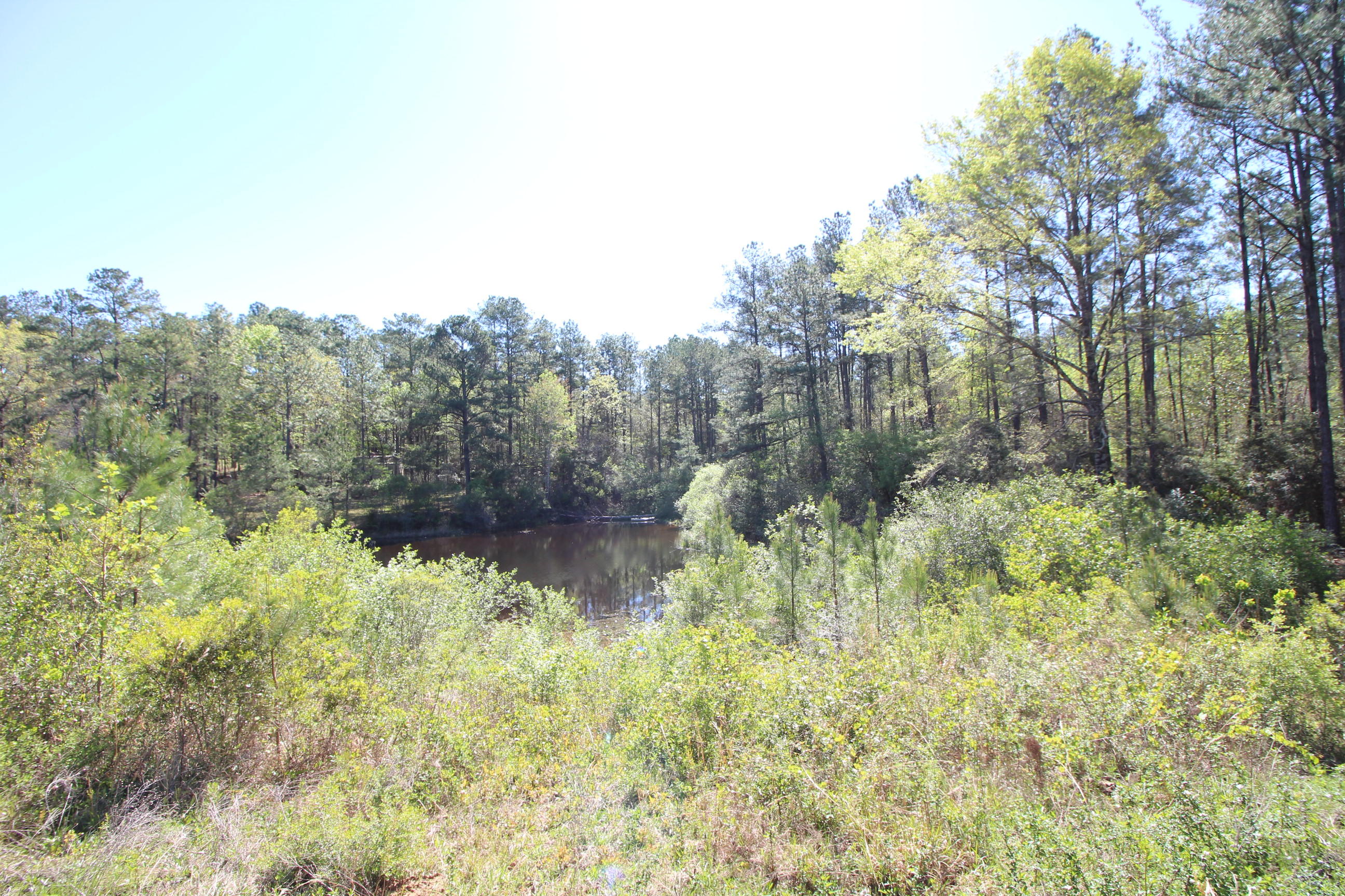 HILLTOP ACRES - Residential