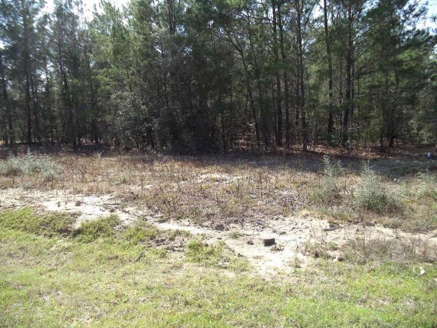 Great blank slate for building your new home! Two adjacent vacant lots with total of .458 acres. (160 X 125 ft.) West of DeFuniak Springs in Oakwood Lakes area. Country living about 5 miles west of town. Electric available, no other improvements.