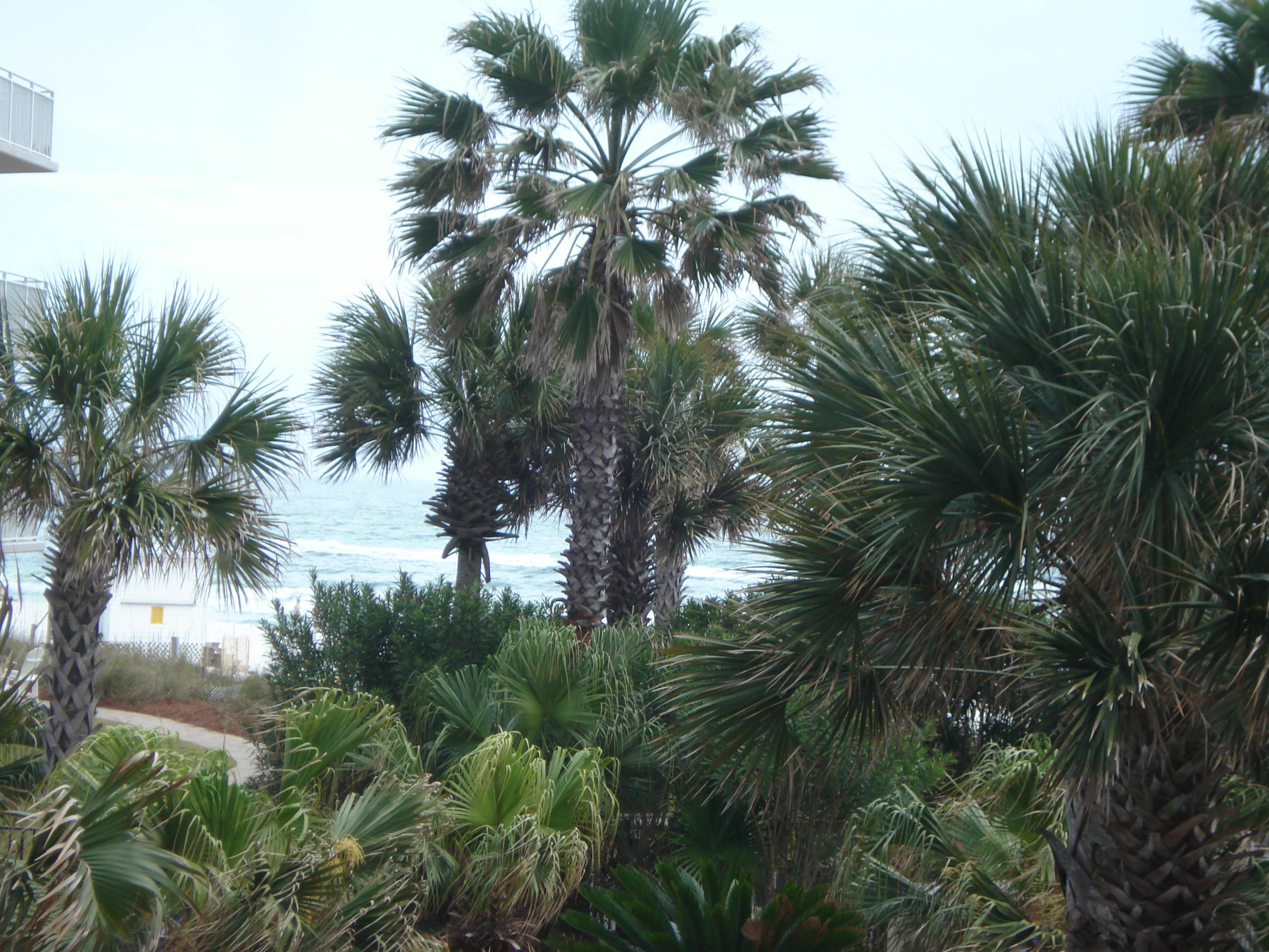 WATERSCAPE - Residential