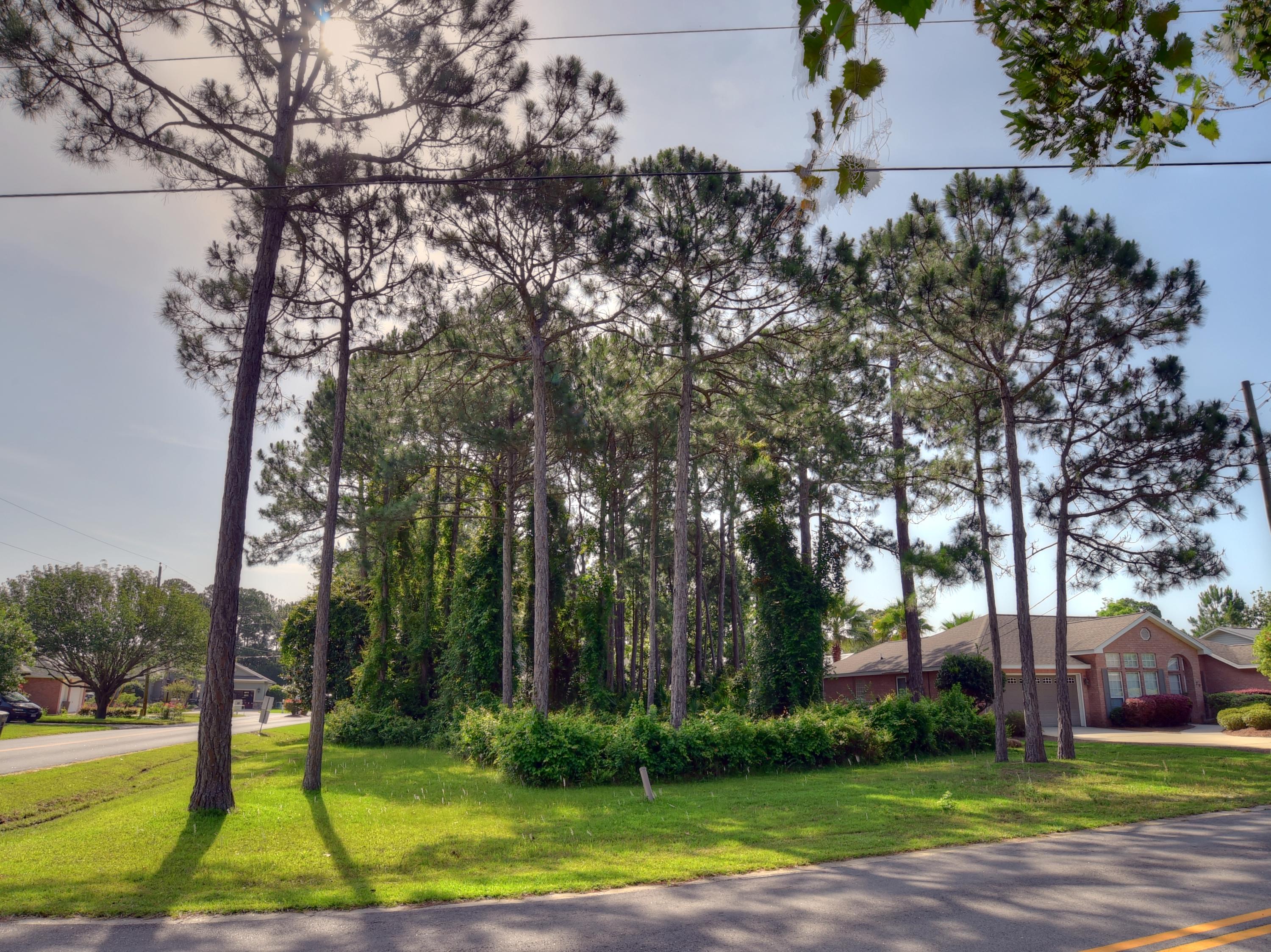 Baybridge Landing - Land