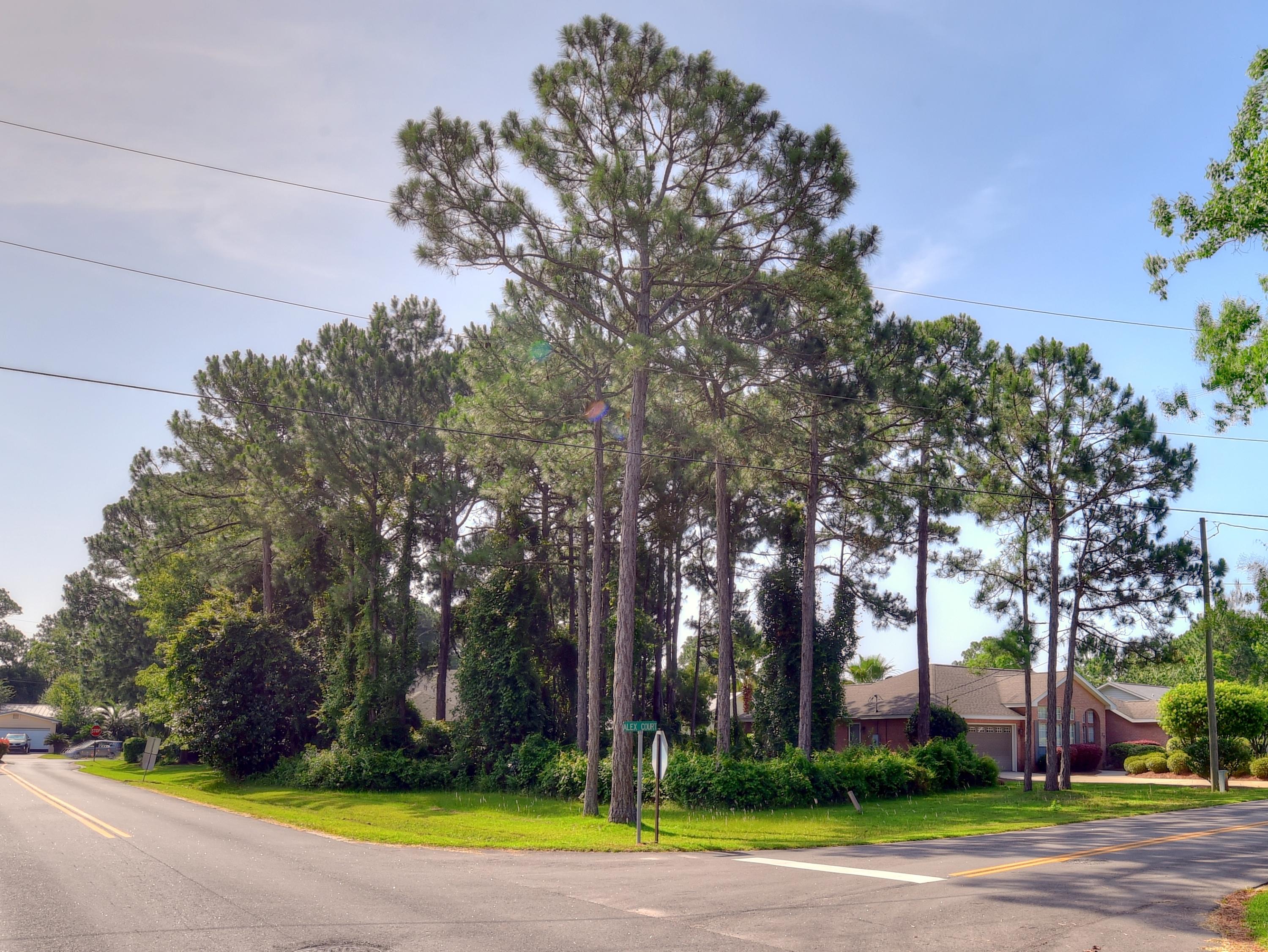 Baybridge Landing - Land