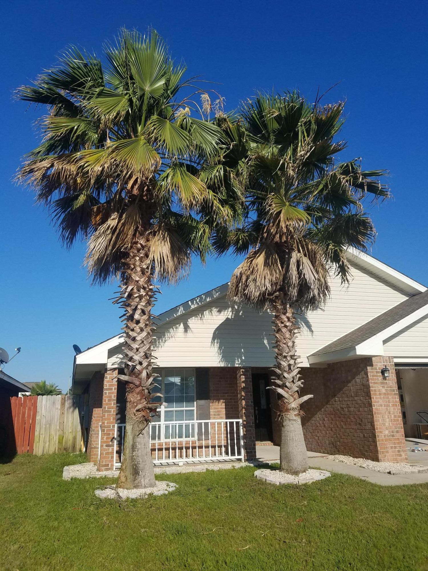 VICTORIAN VILLAGE - Residential