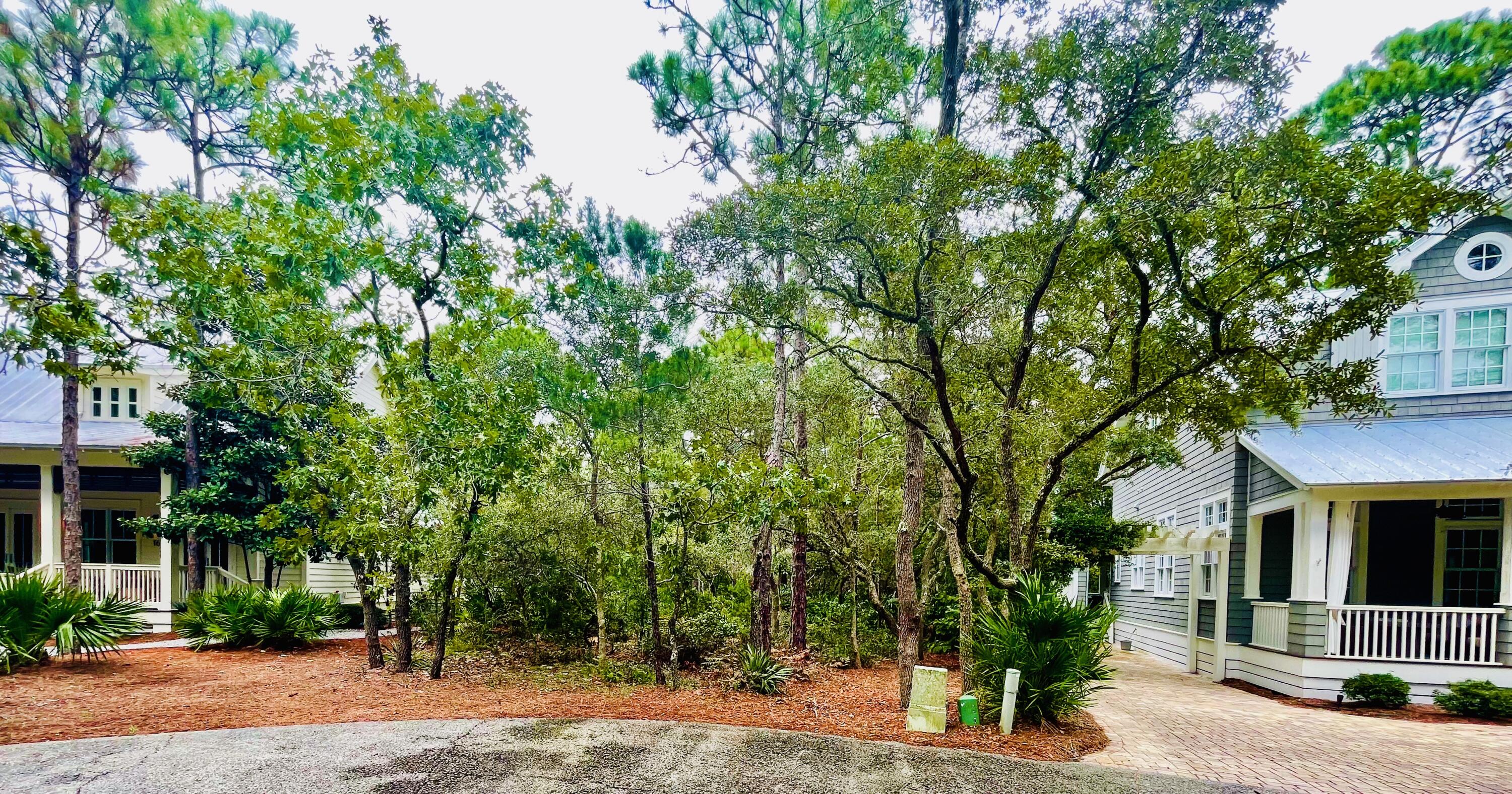 HAMMOCKS AT SEAGROVE - Land