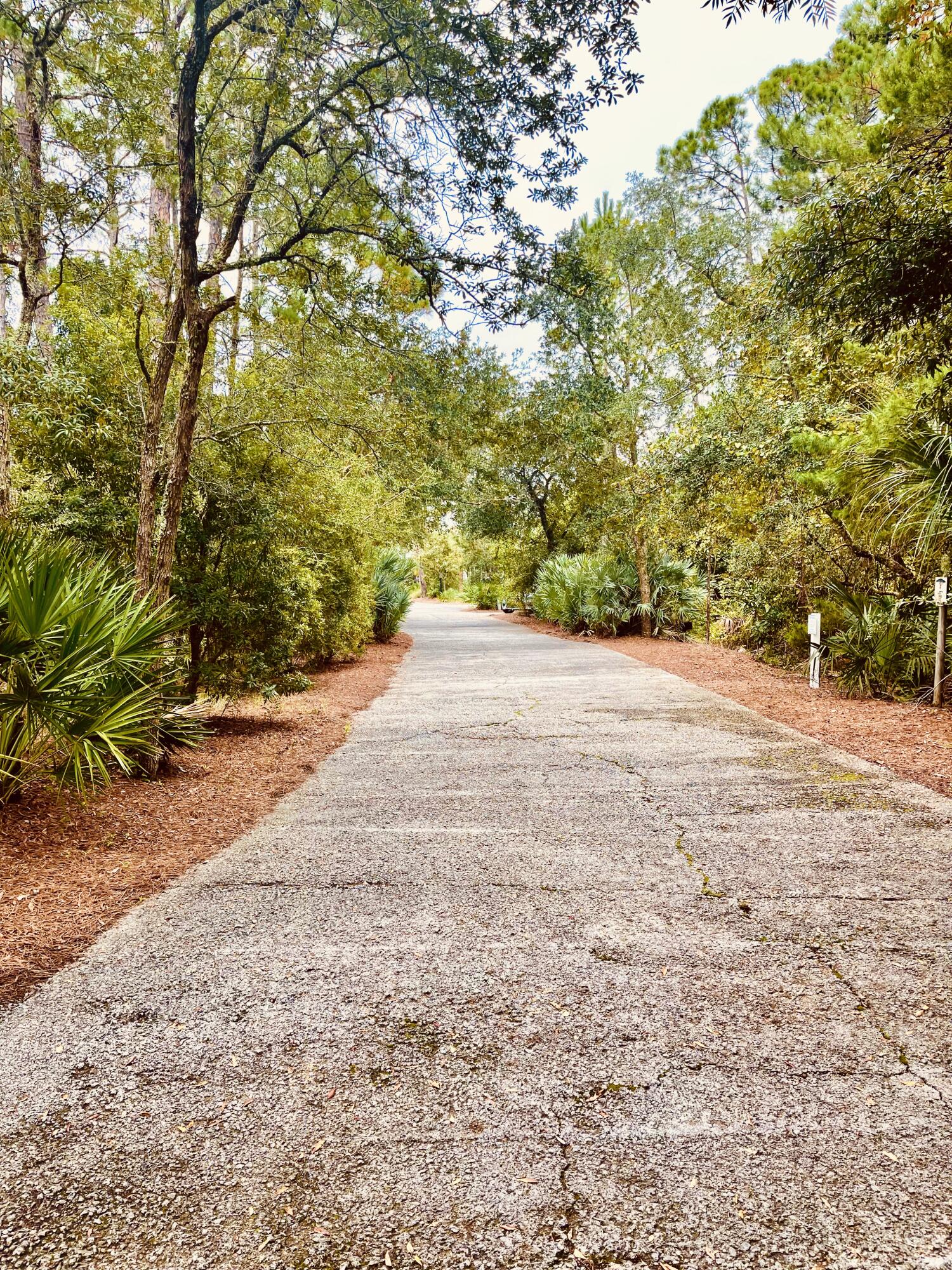 HAMMOCKS AT SEAGROVE - Land