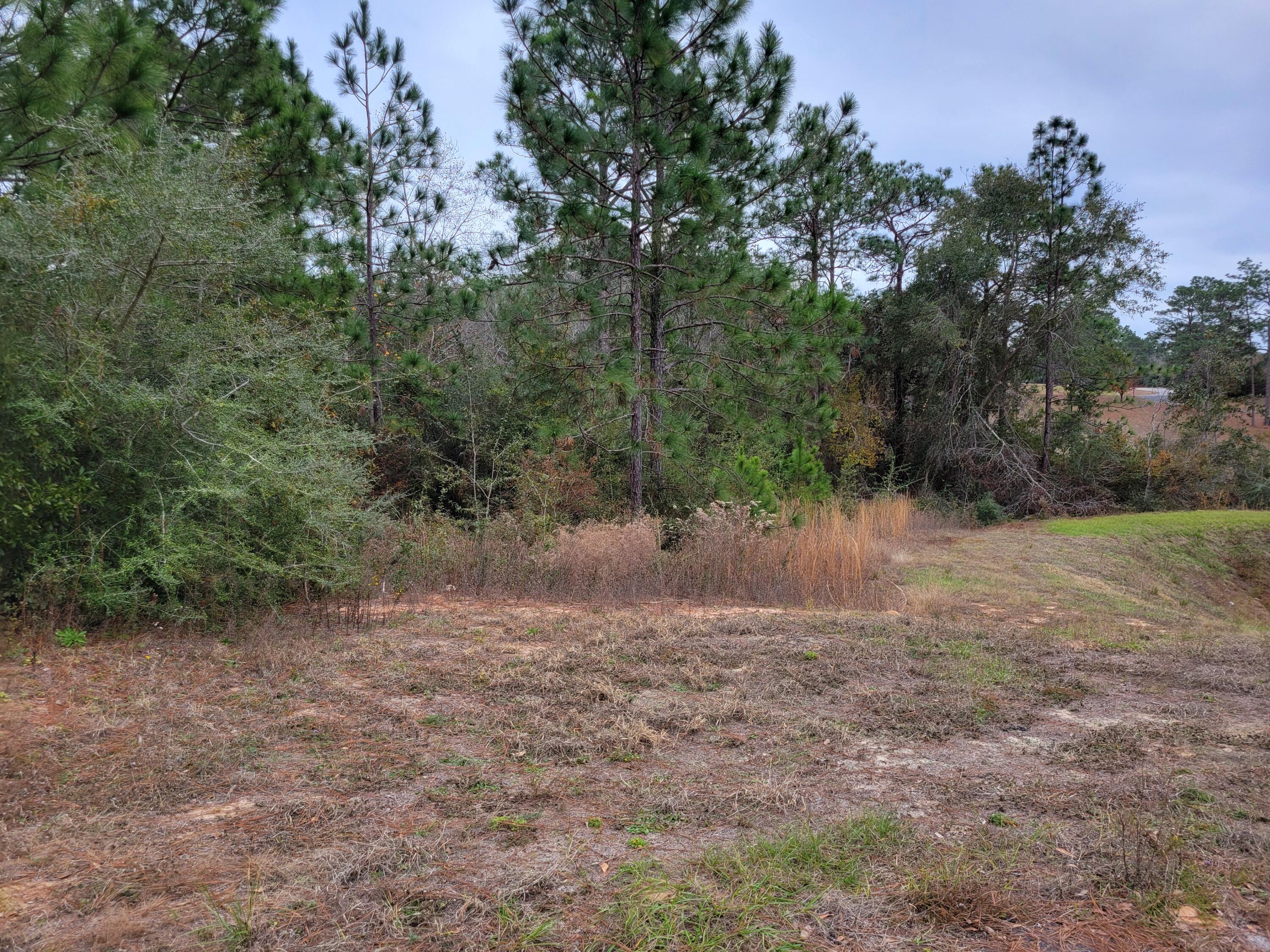 Build your dream home on the lake. Site with access to 2 lakes. Dead end road leading into secluded neighborhood.  Don't miss this opportunity to live in this well-established neighborhood.