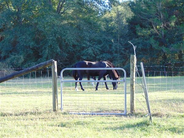 METES & BOUNDS - Farm