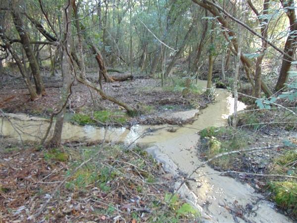 METES & BOUNDS - Farm