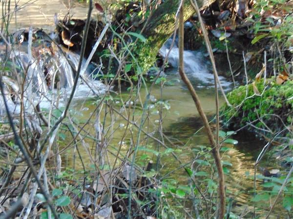 METES & BOUNDS - Farm