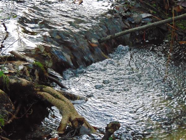 METES & BOUNDS - Farm