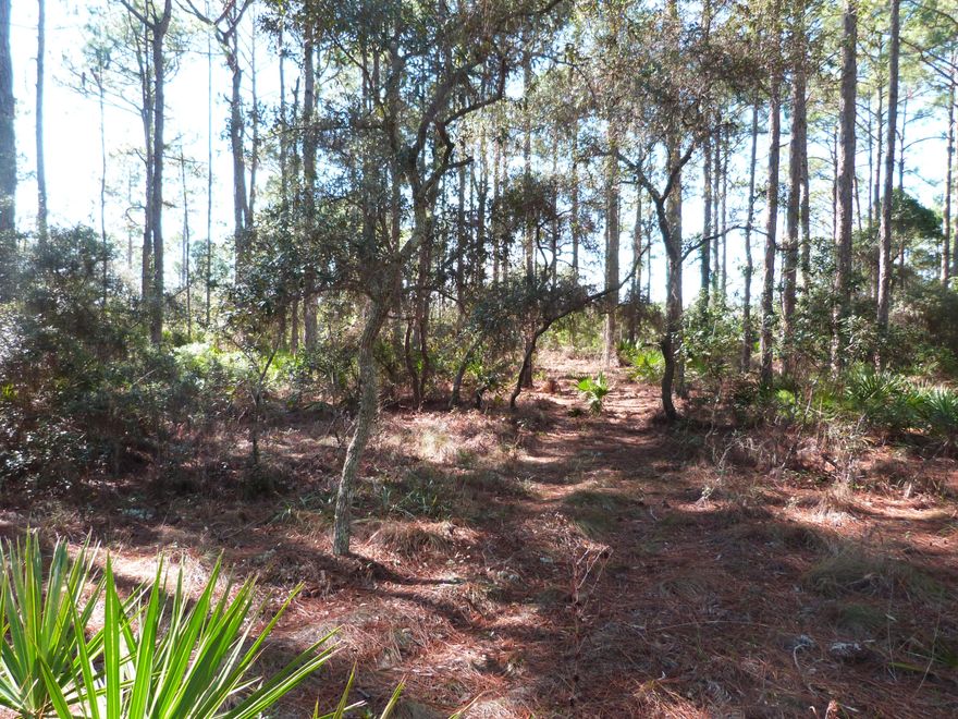 This is your chance to own a huge parcel right on Lake Powell. The property has 408 feet of Lake frontage. The main road spits this property into 2 parcels which gives you endless opportunities. You could sell off one half of the land, develop it, put a shop, the sky is the limit. You could put a doc in your back yard and drive your boat to the beach. Lake Powell is the largest Coastal Dune Lake in the lower 48. This is a rare opportunity. We have significantly reduced the price on this gorgeous parcel of land. Drive by and take a look at this gem of a property.