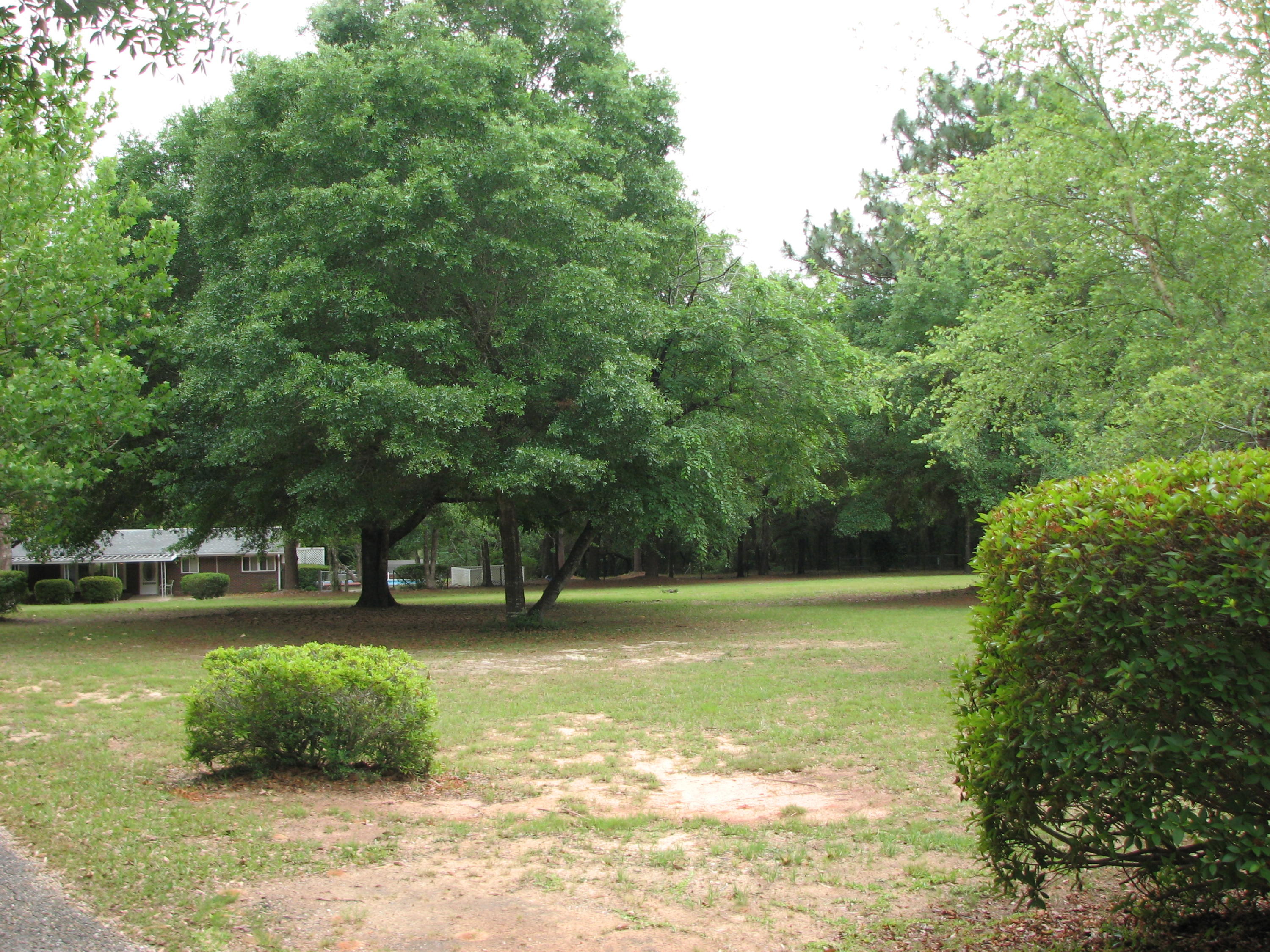 Lengthy Metes & Bounds Description - Residential