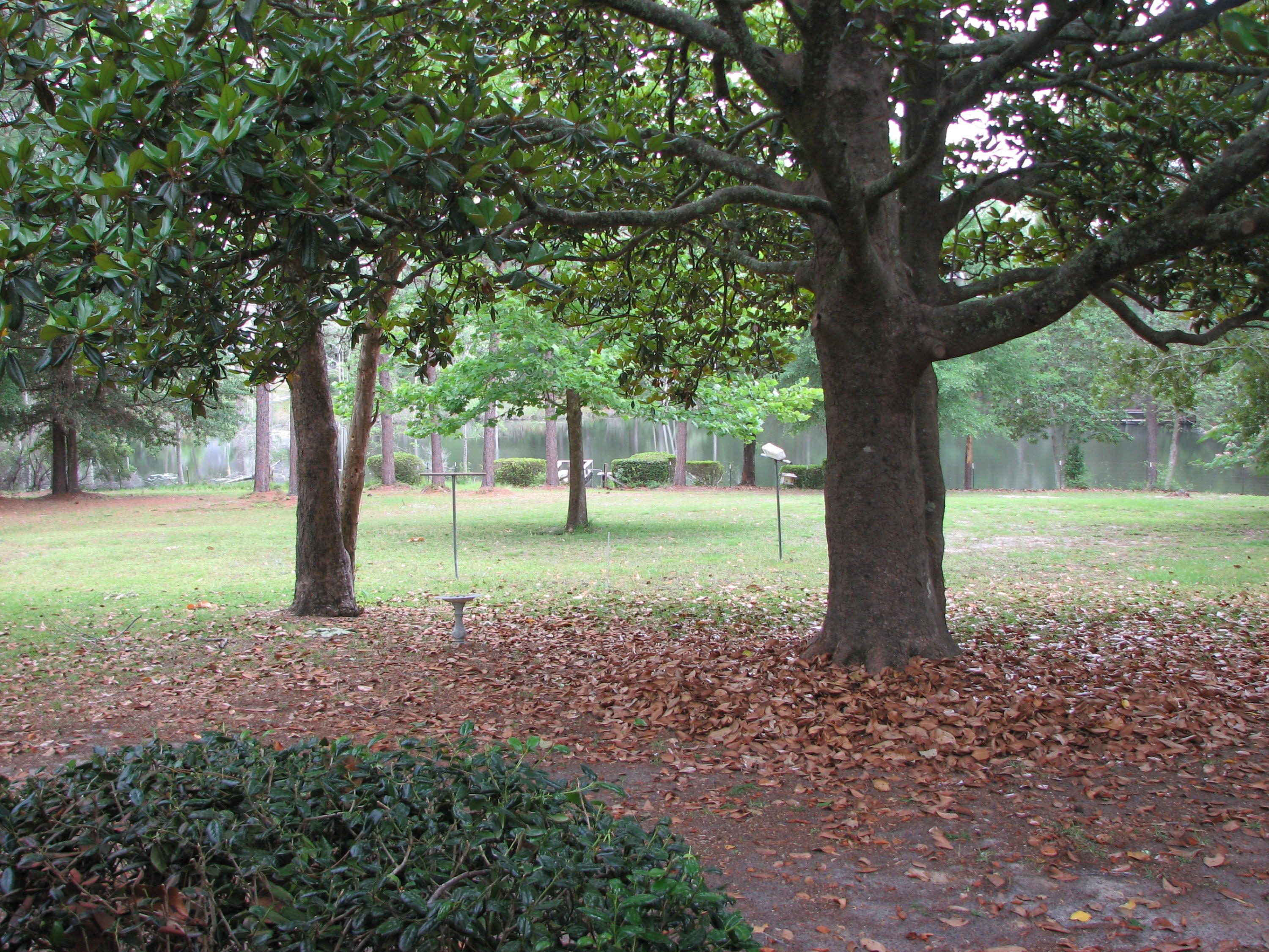 Lengthy Metes & Bounds Description - Residential