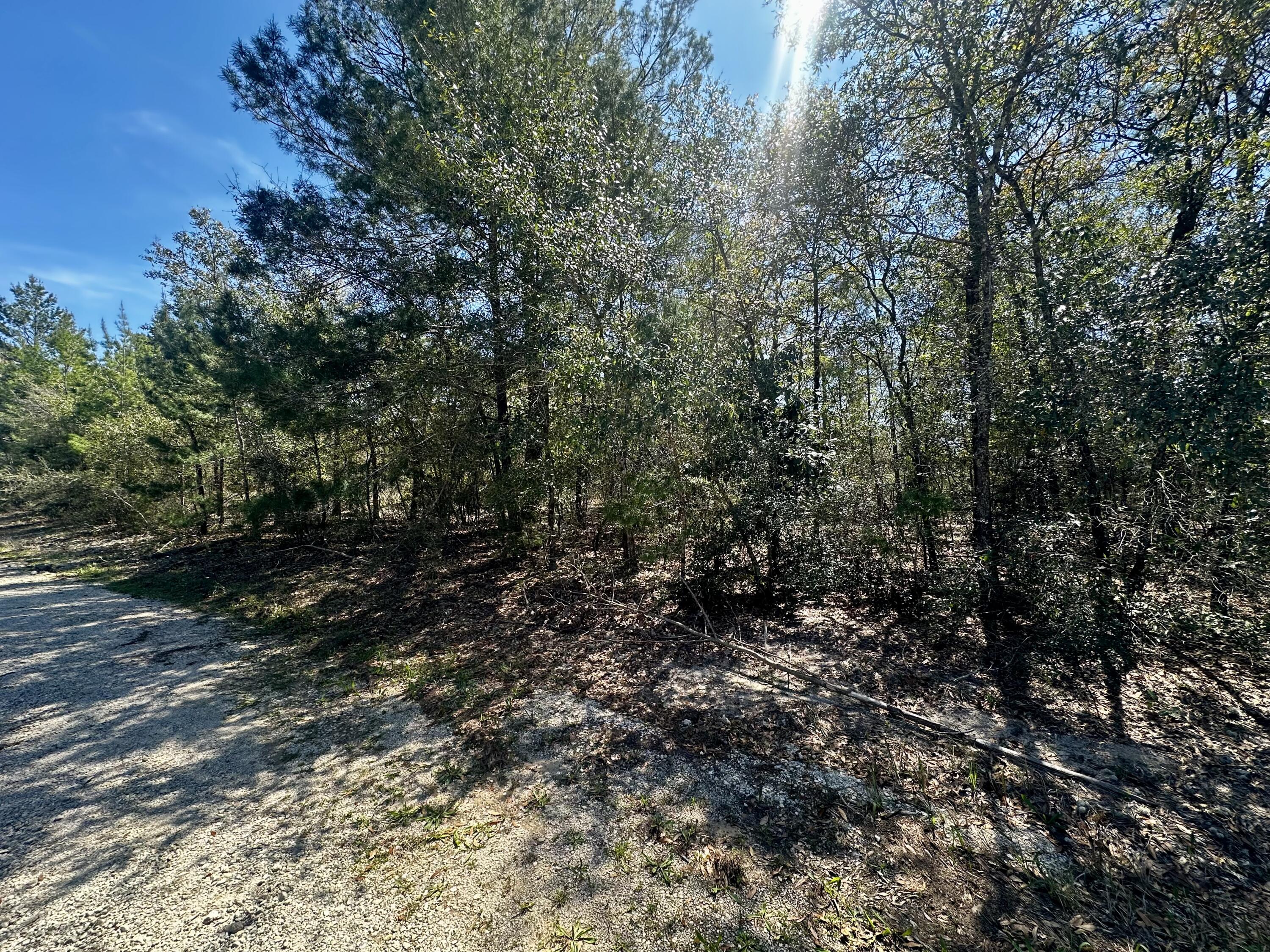 OAKWOOD HILLS UNIT 1 - Land