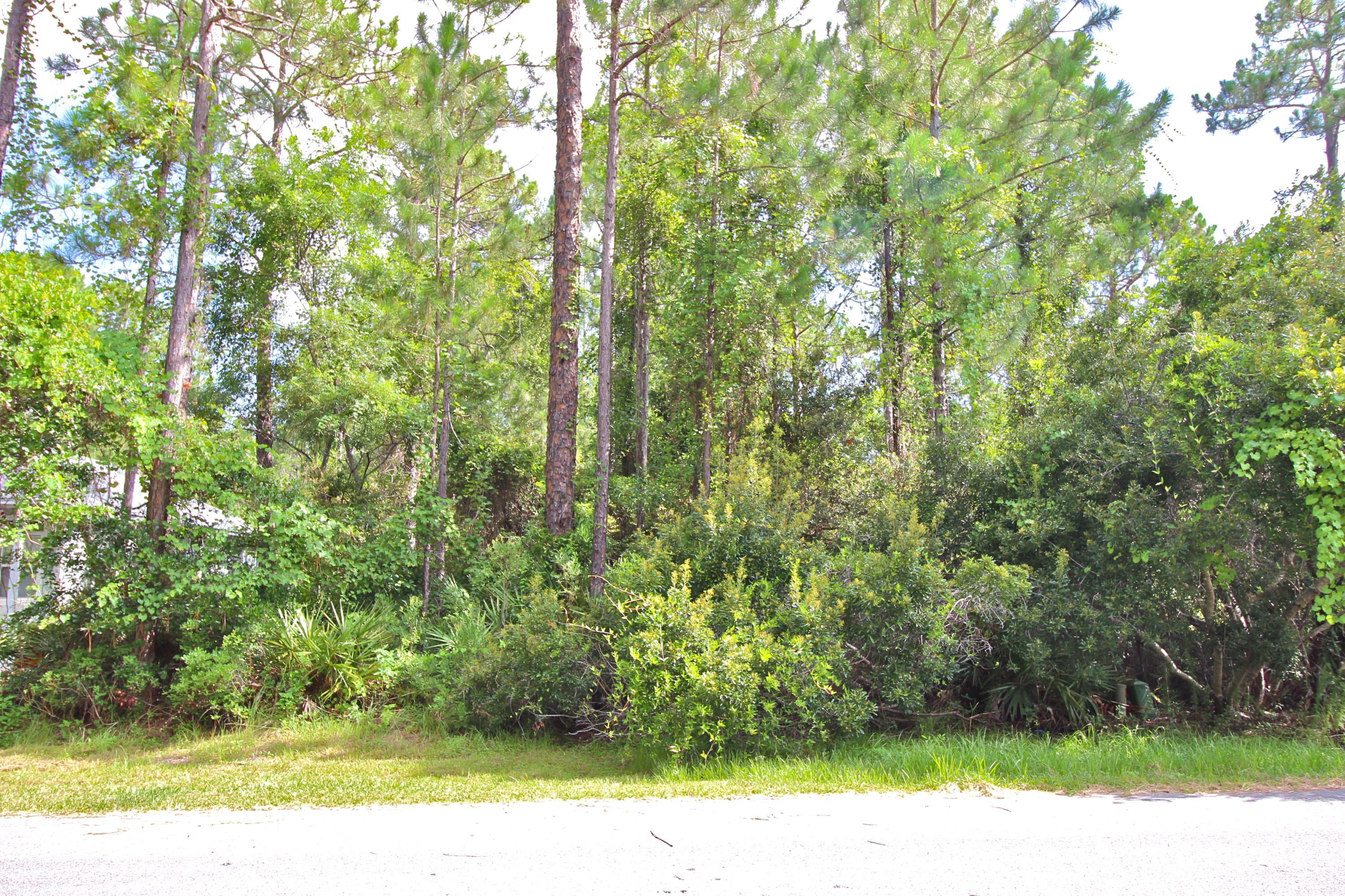 Magnolia Beach lot just 3 blocks from the bay and minutes to Grayton, Watercolor and Seaside. This affordable uplands lot is ready for your Florida Cottage! Paved street with water and sewer available and community access to the bay just 3 blocks away! Seller believes entire property to be uplands.Covenants and restrictions to protect your investment- no mobile homes.