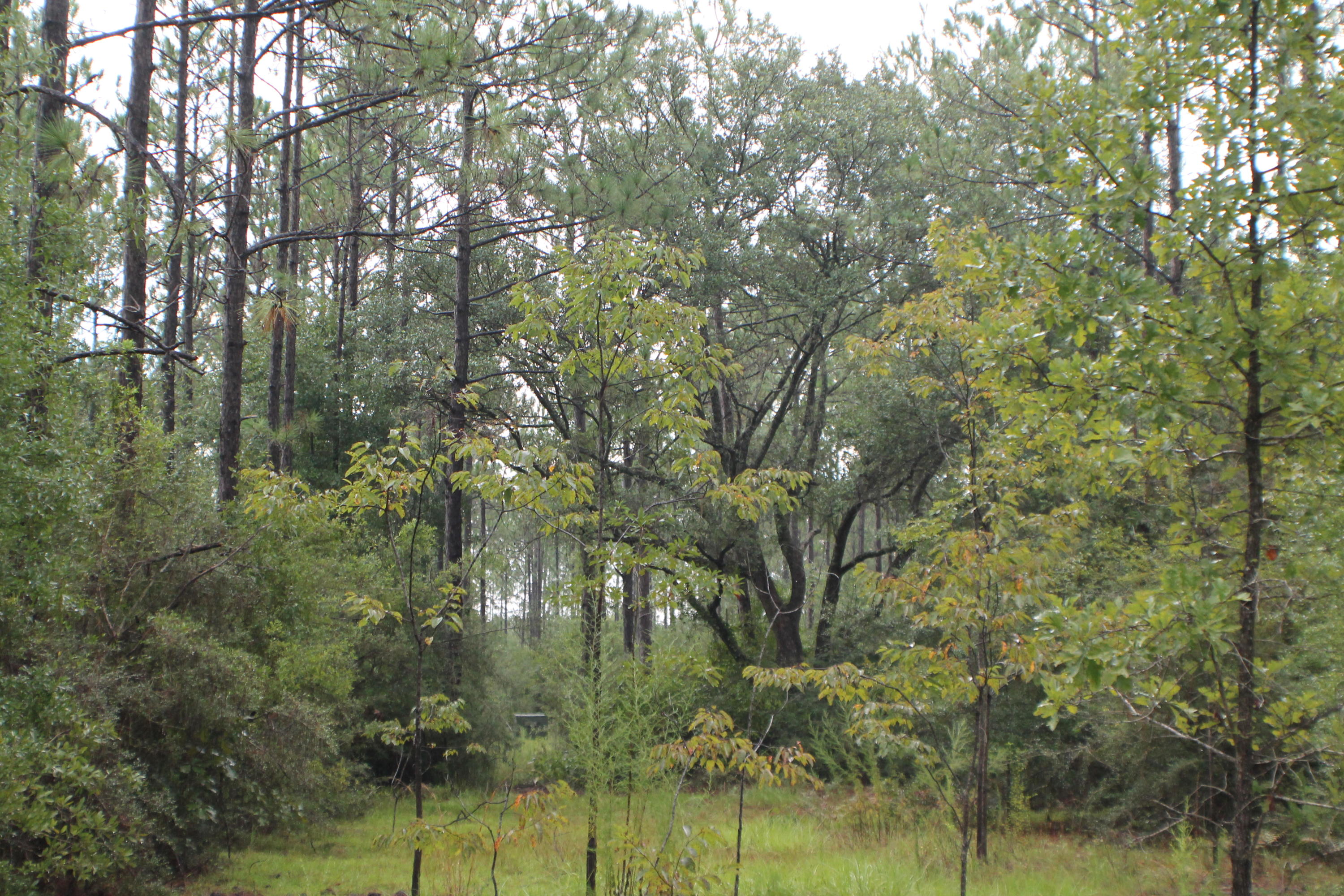 METES & BOUNDS - Farm