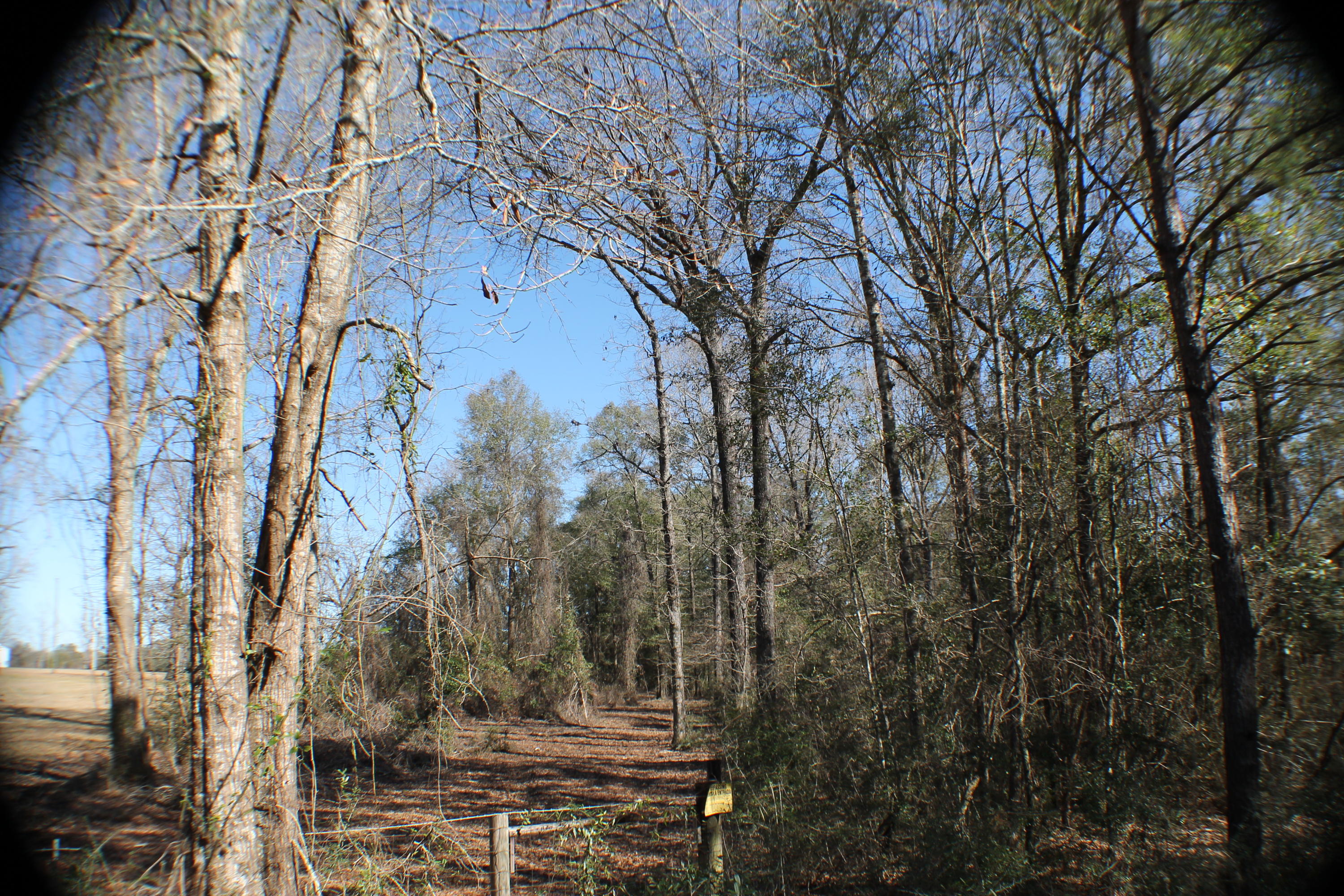 METES & BOUNDS - Farm