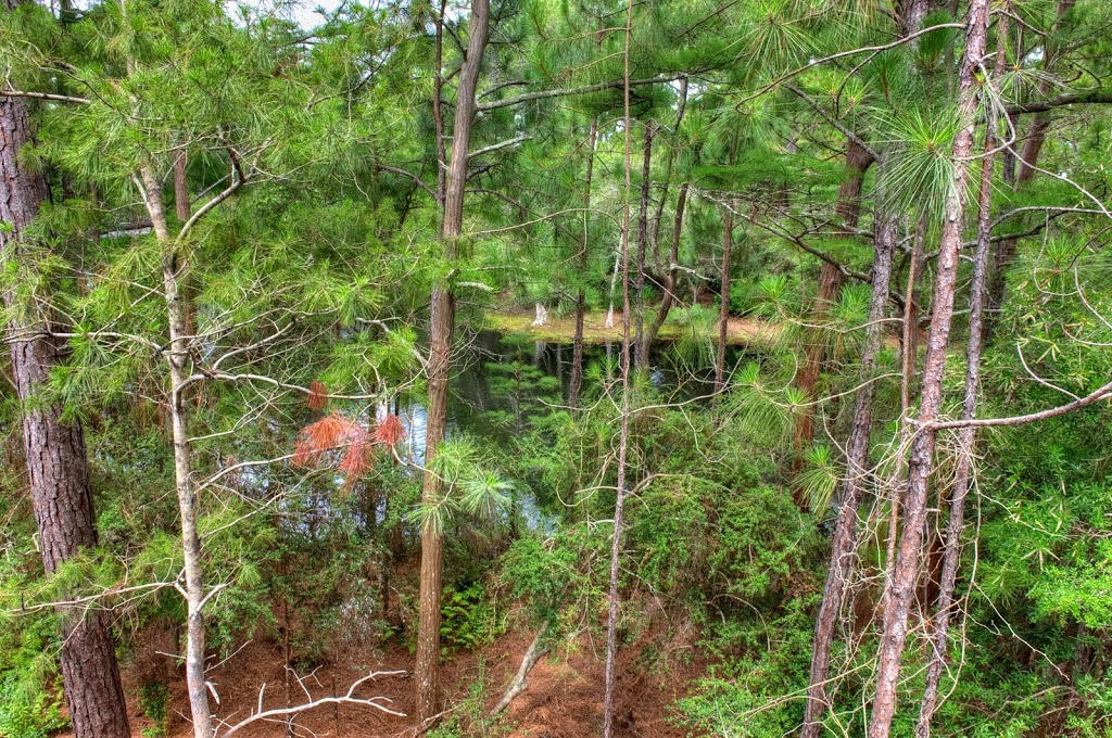 CASSINE VILLAGE - Residential