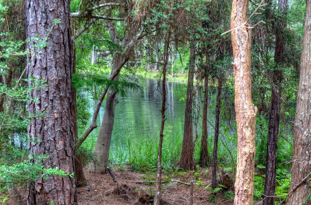 CASSINE VILLAGE - Residential