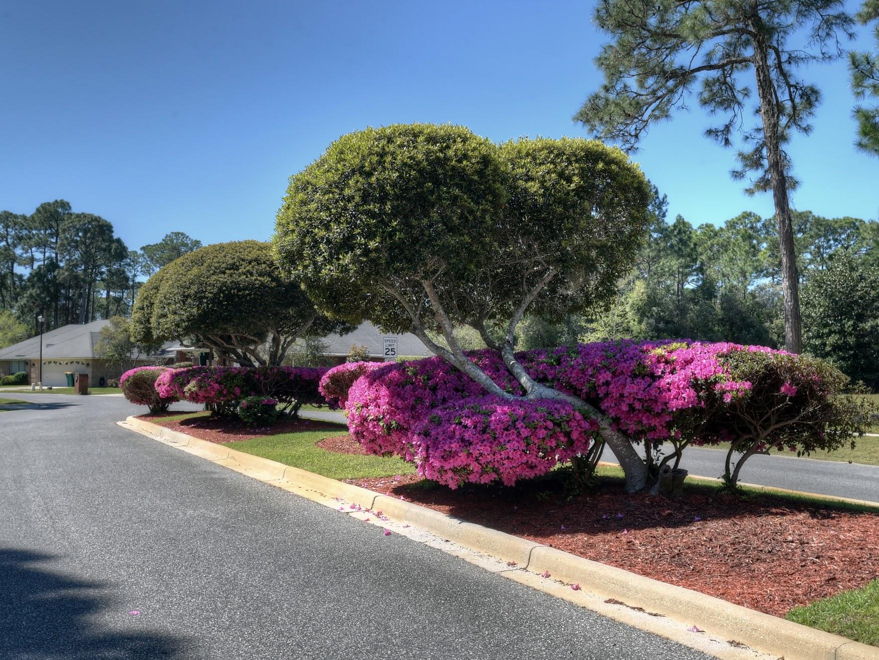 EAGLES LANDING S/D - Residential