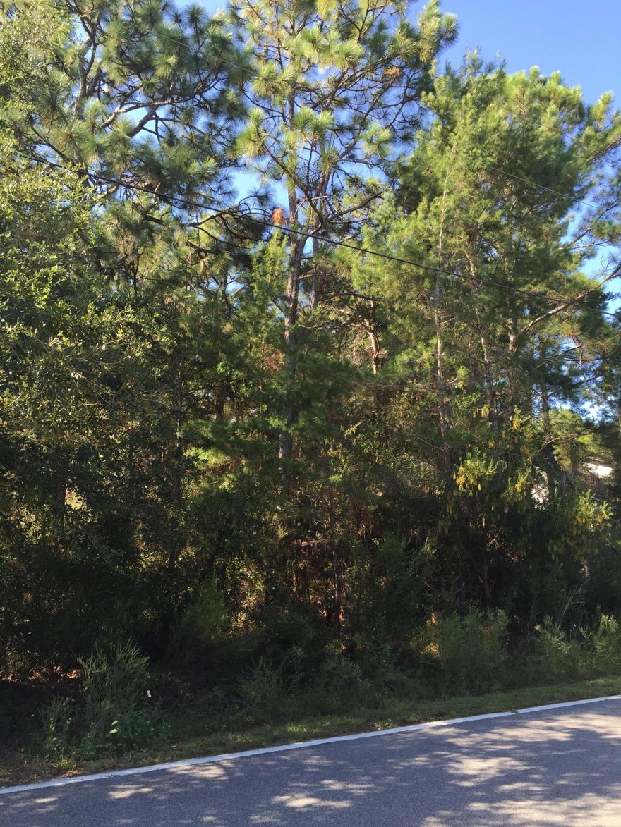 Vacant Lot on beautiful Chrysler Avenue in Point Washington. Chrysler Avenue is scattered with live oaks, Florida Cottage style homes, white picket fences and quite a bit of new construction. This is where the locals live! 4 miles to Grayton Beach and only a block from Choctawhatchee Bay. This street is one street south of the Bay front homes. Enjoy the peace and serenity Point Washington provides surrounded by State Forest, yet you're still close enough to the action on 30A.